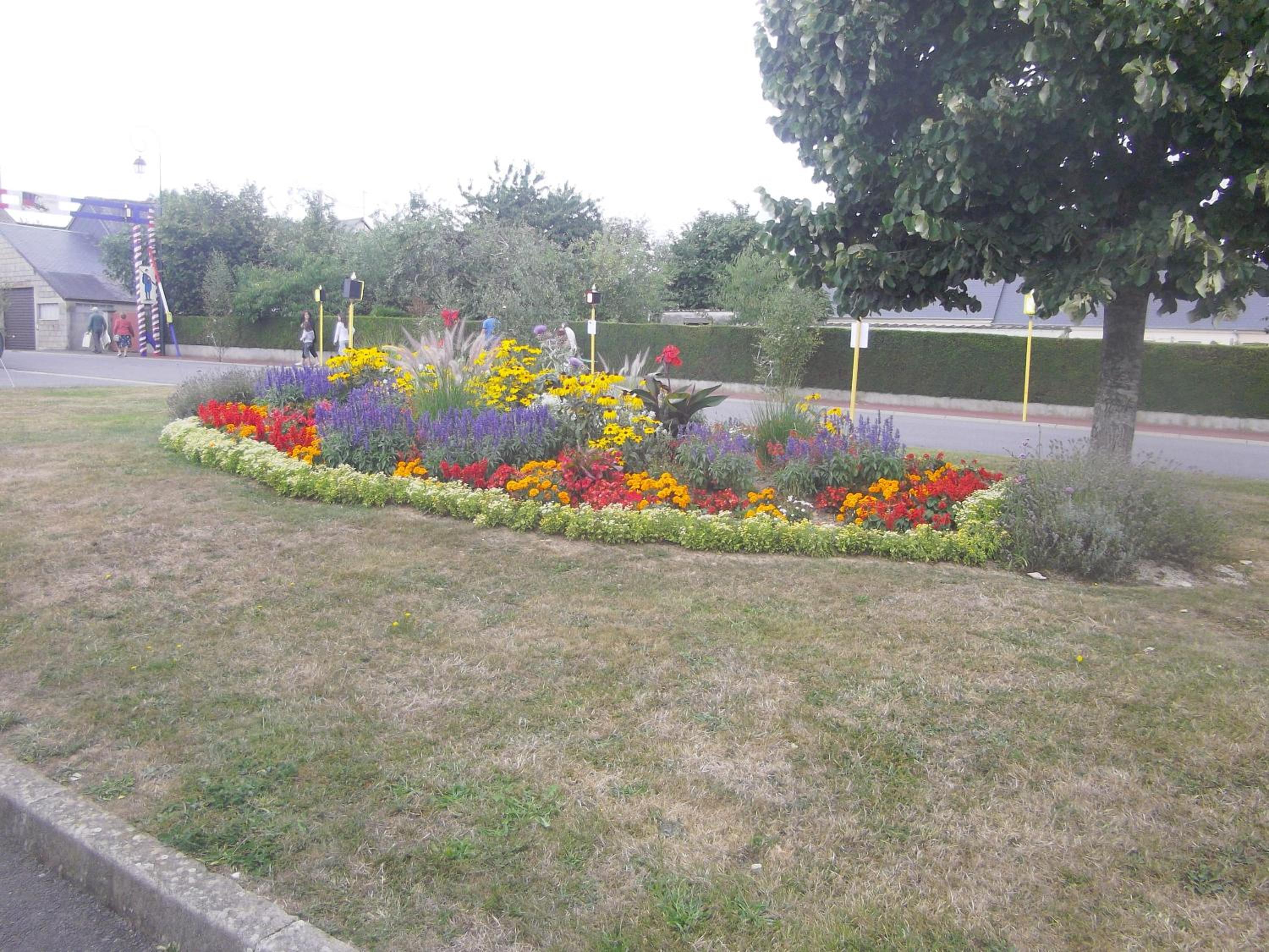 Photo 29
