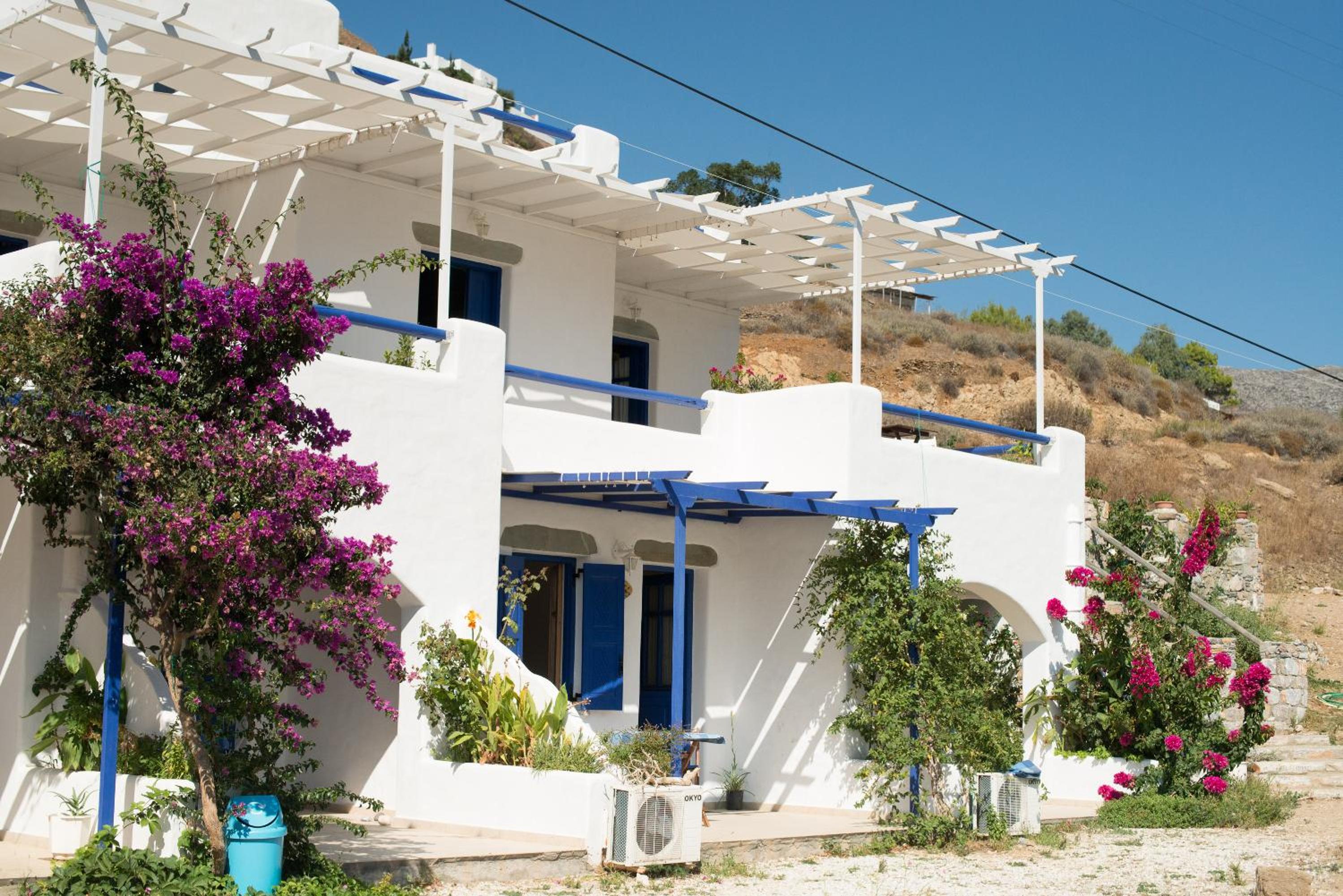 Amorgi Studios