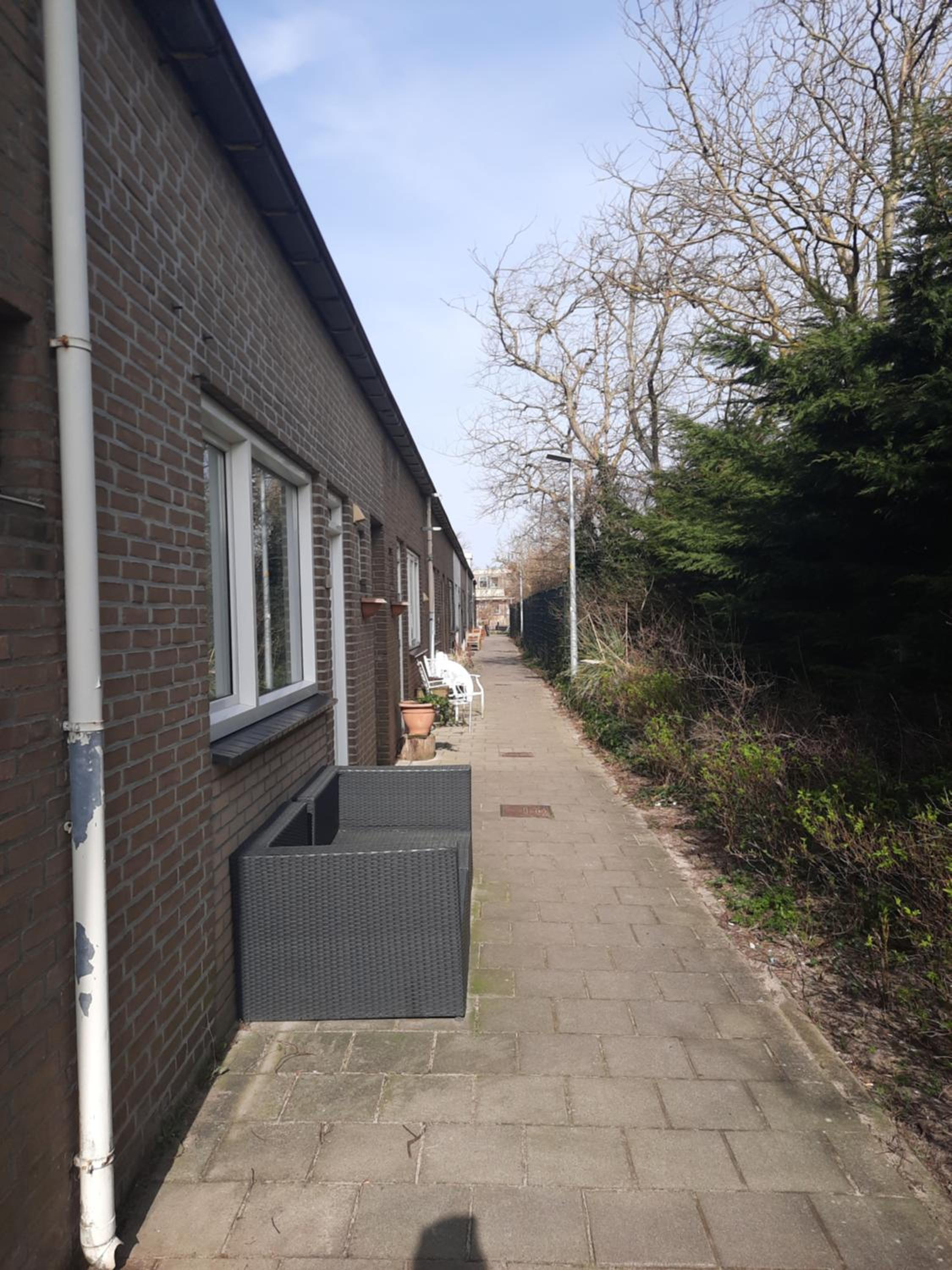 Photo 15