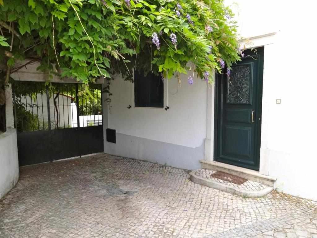 Casa dos Pocinhos - Férias tranquilas no campo view 5