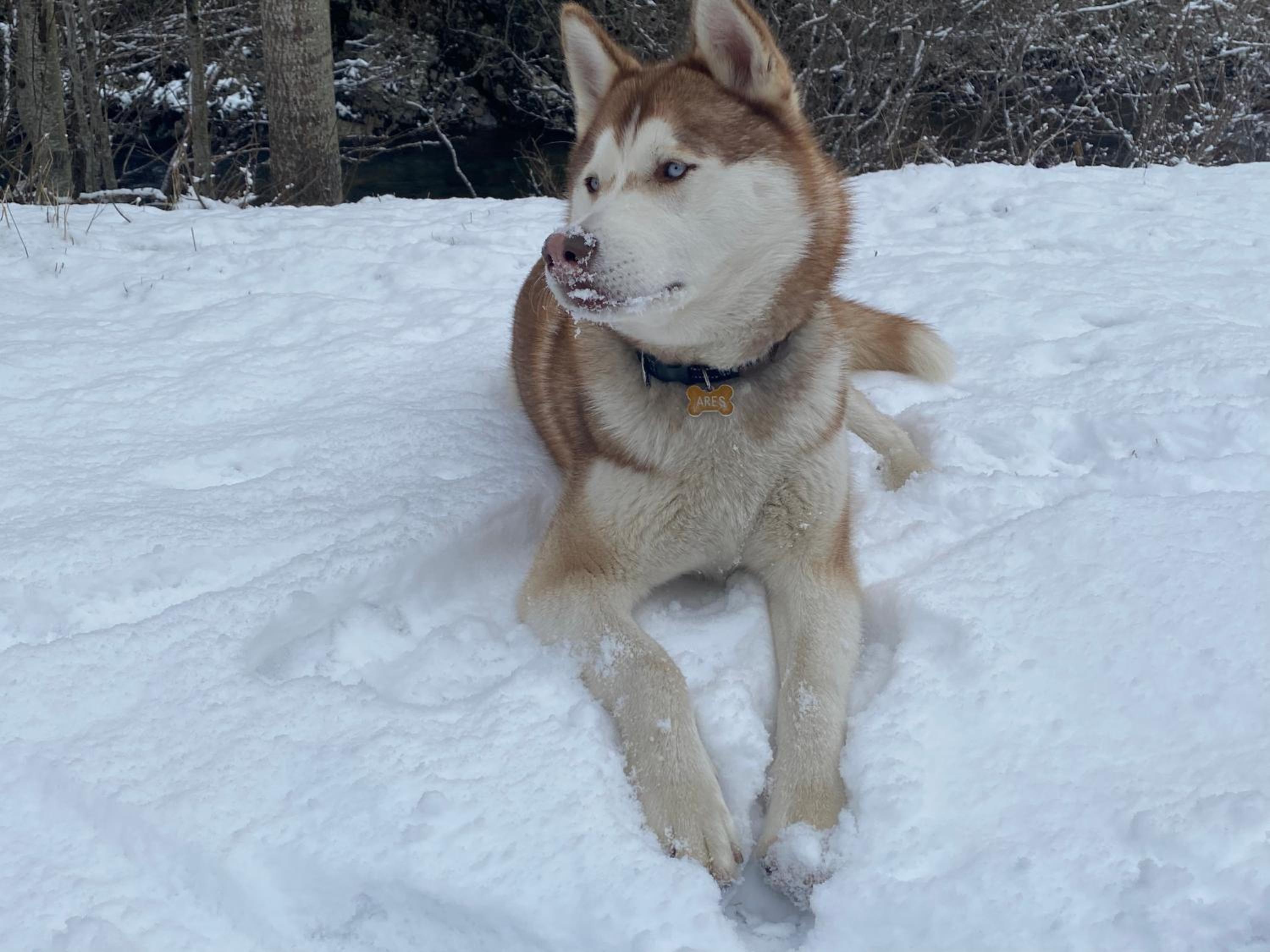 El Invernal de Picos