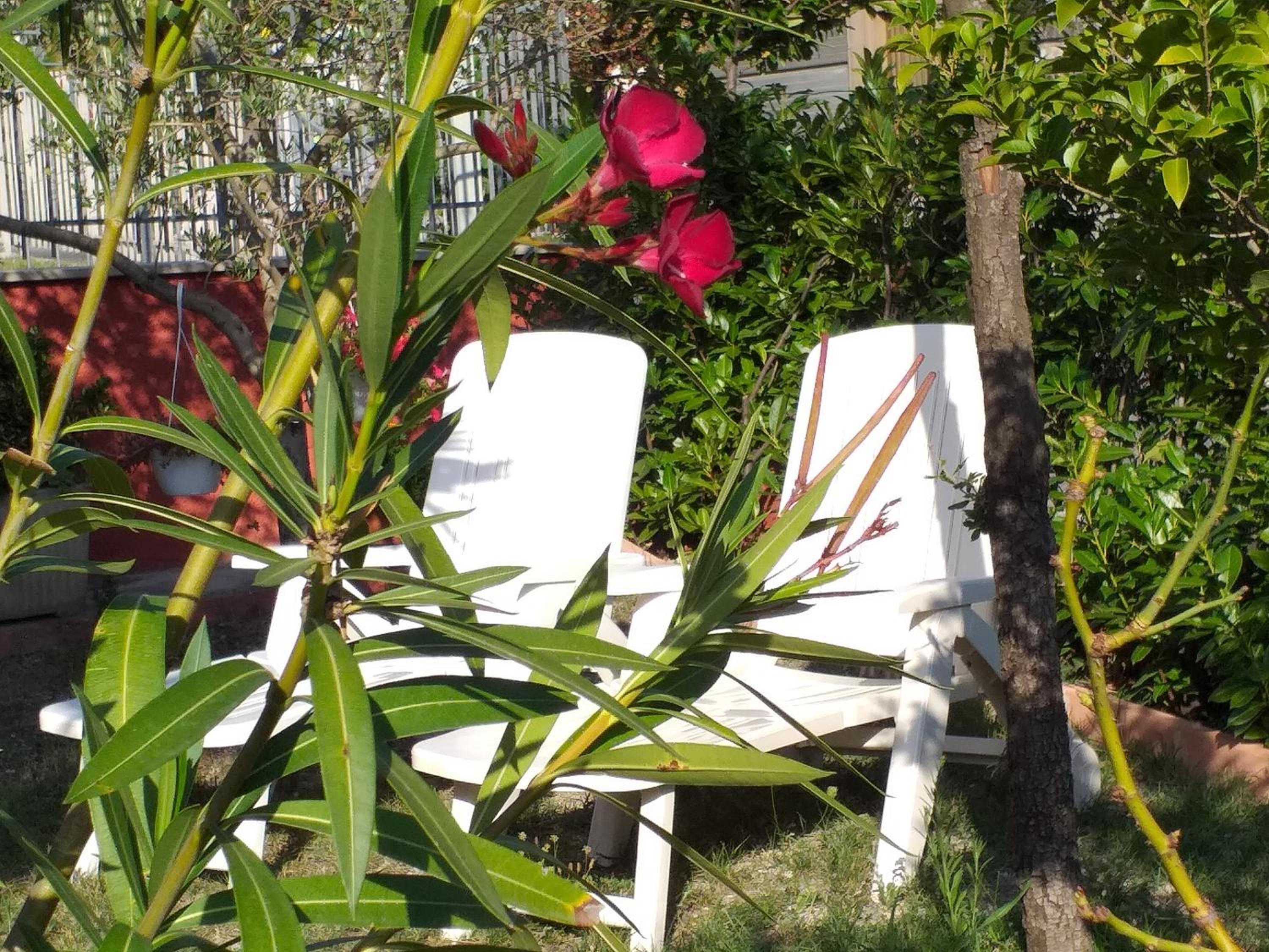 Bed & Breakfast La Rosa Rossa view 5