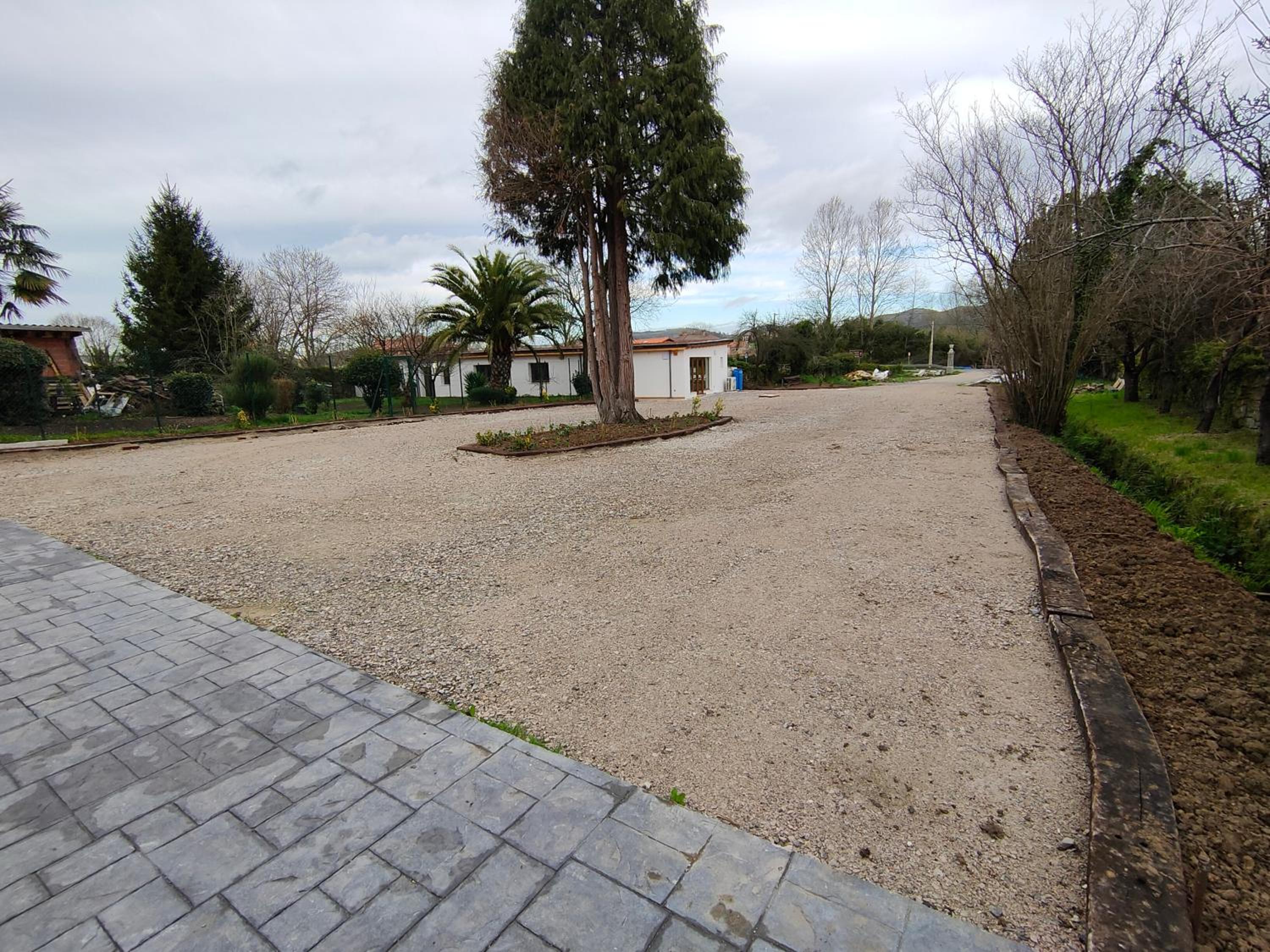 El Pino