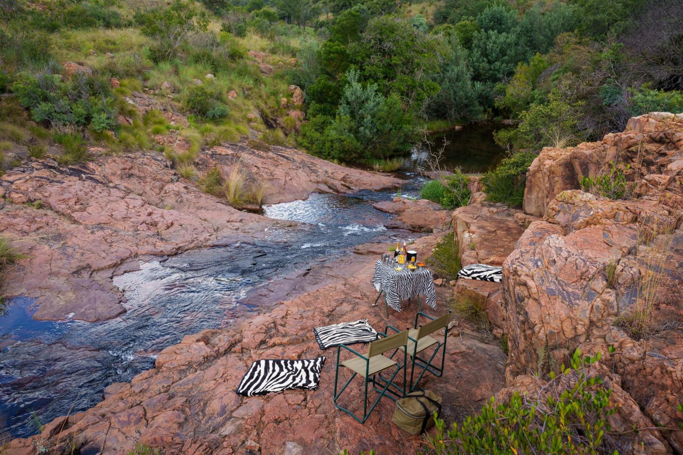 Zebras Crossing