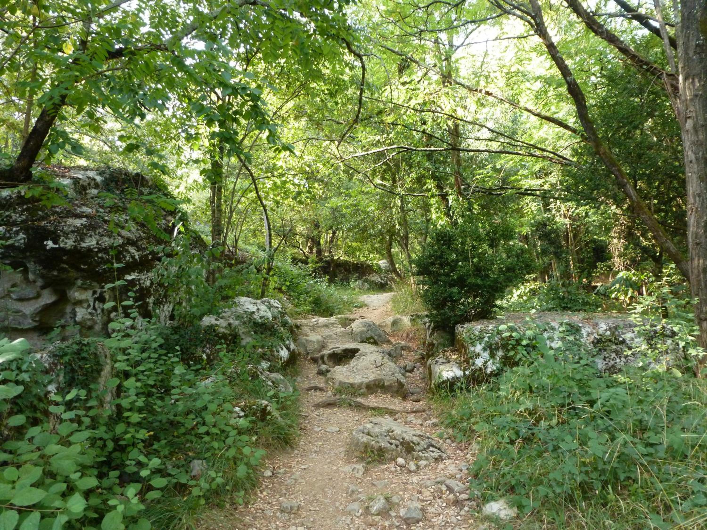 Photo 31