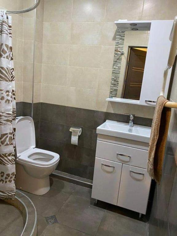 Mesrop Mashtots Avenue 6, 2 room apartament