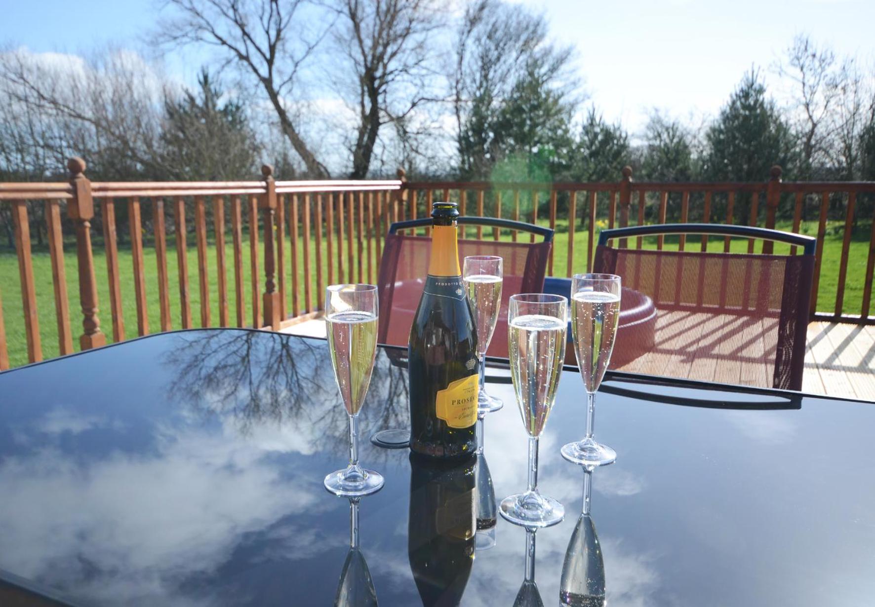 Ryedale Lodge with Hot Tub view 2