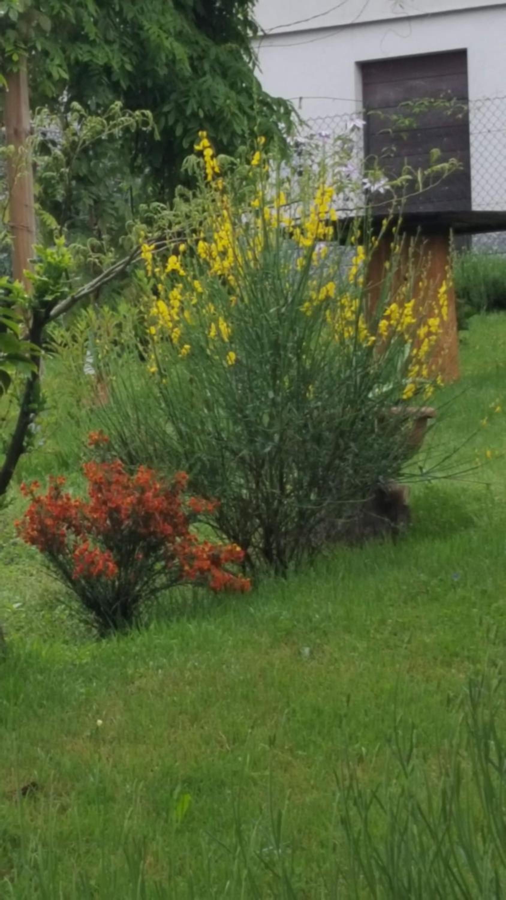 B & B SENTIERO VALTELLINA