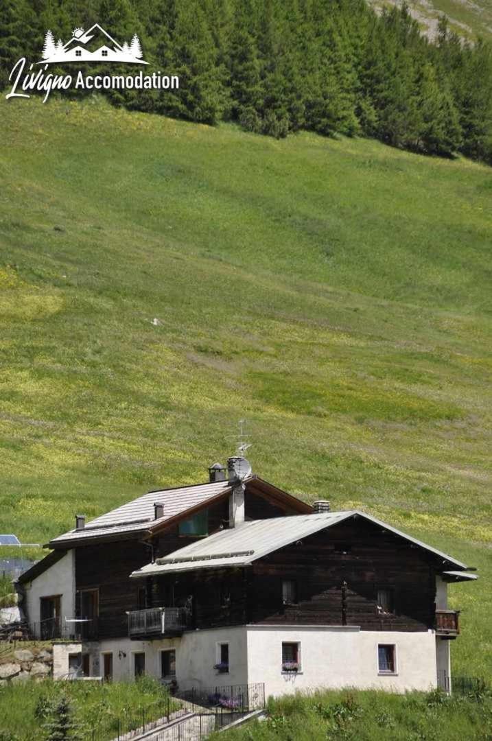 Photo 57