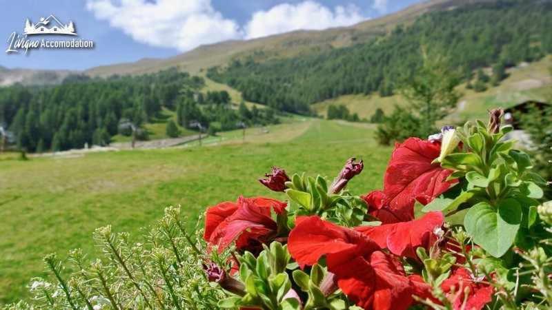 Baita Epi Cusini by Livigno Accomodation view 4