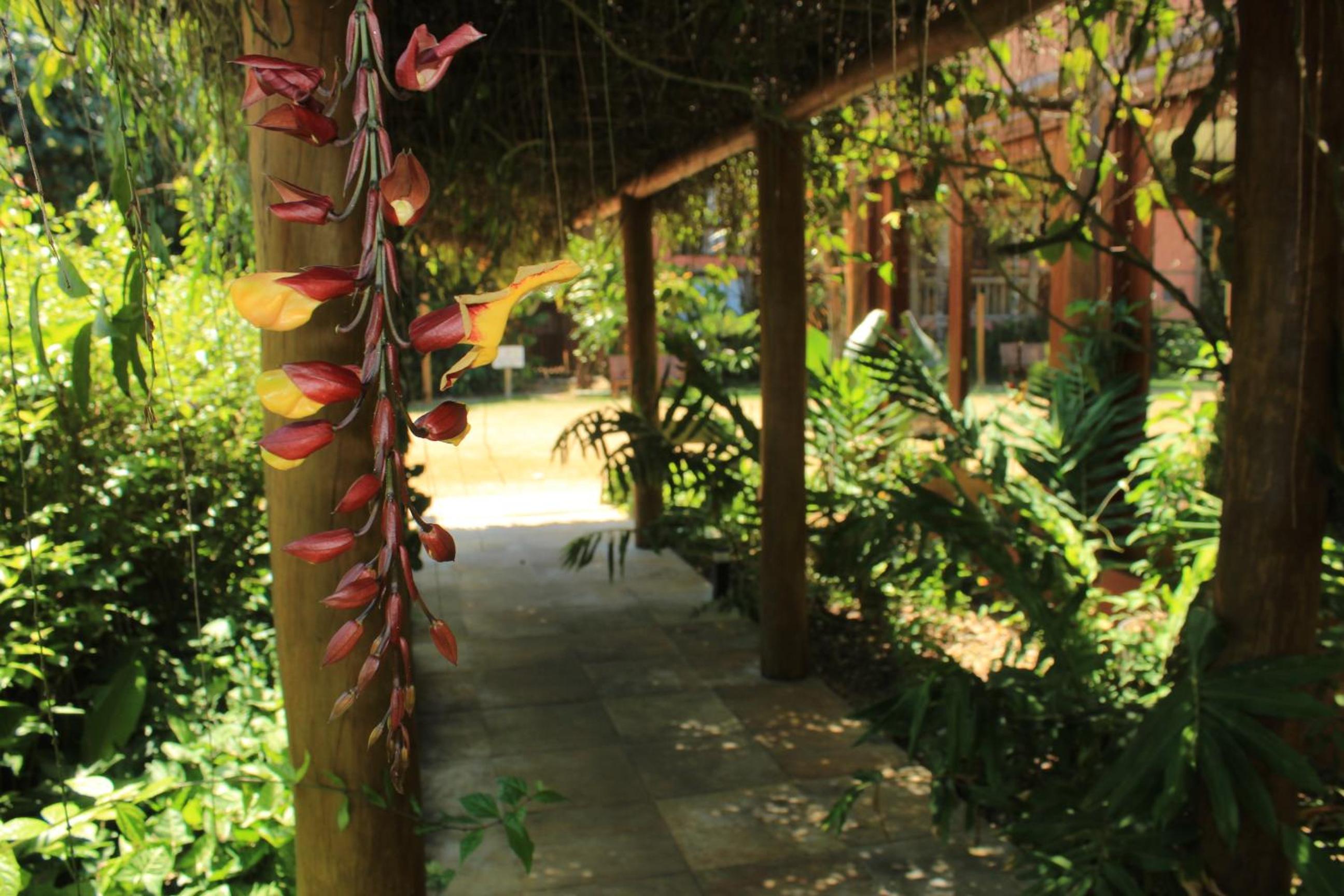 Maresias Beach House - Casas de alugueis em cond beira mar