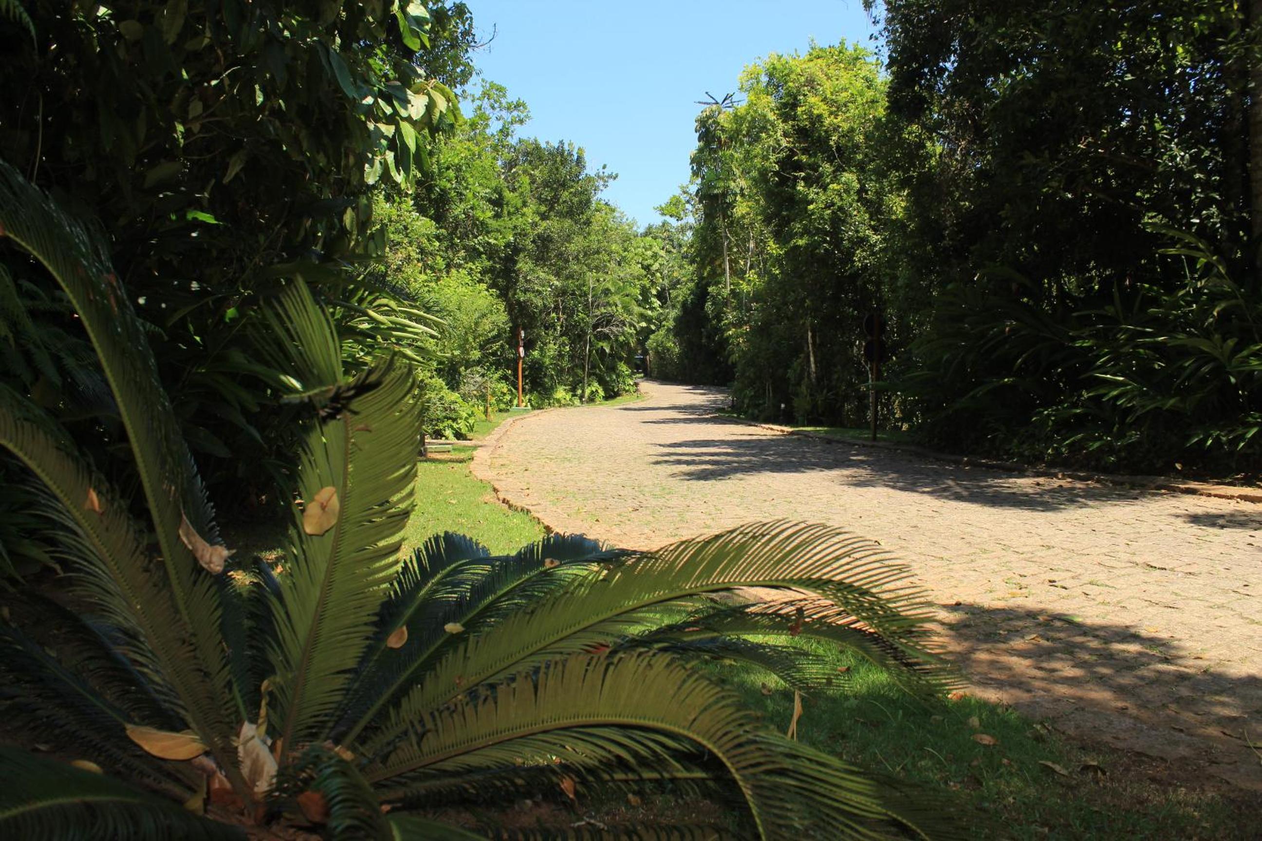 Maresias Beach House - Casas de alugueis em cond beira mar