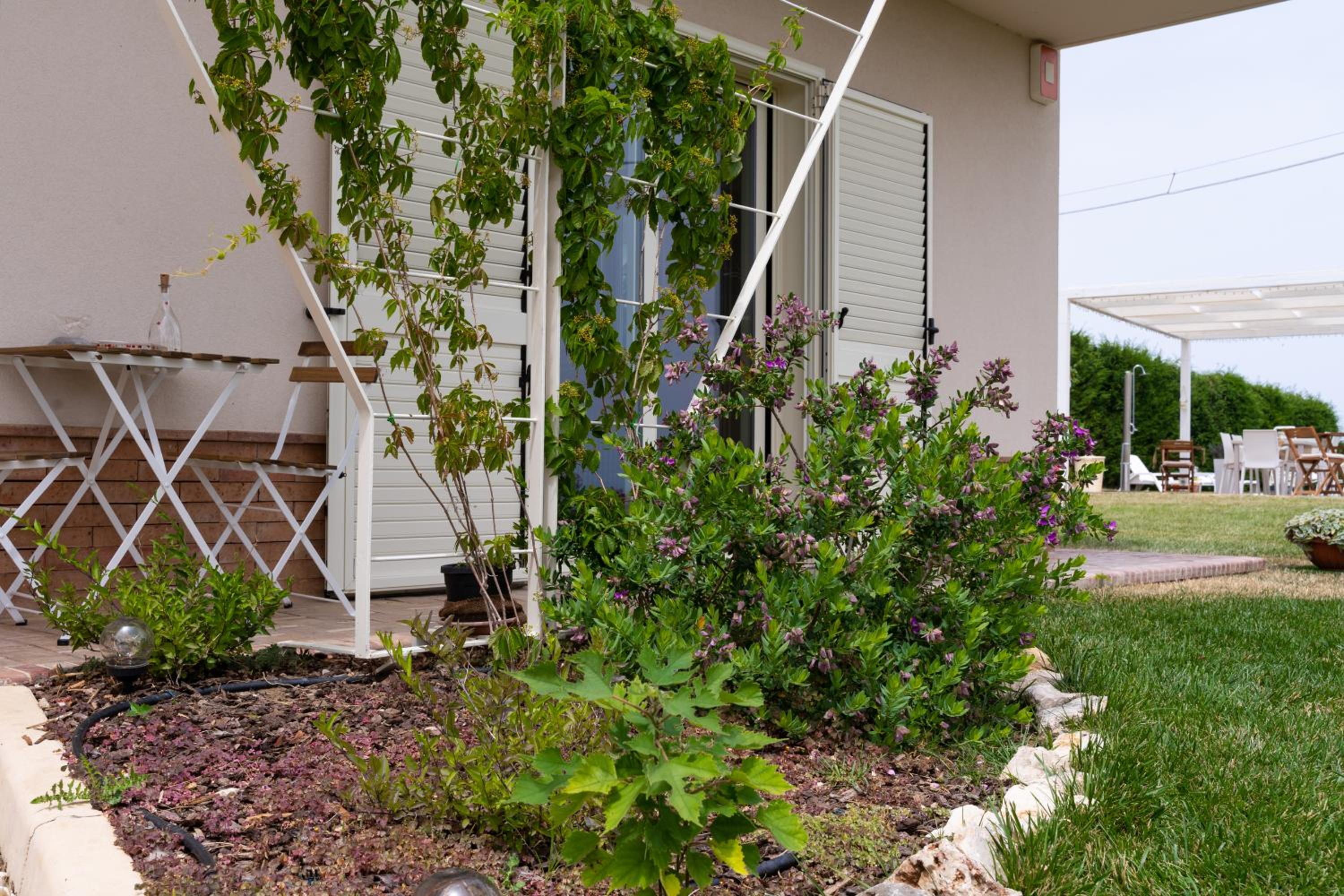 Photo 66