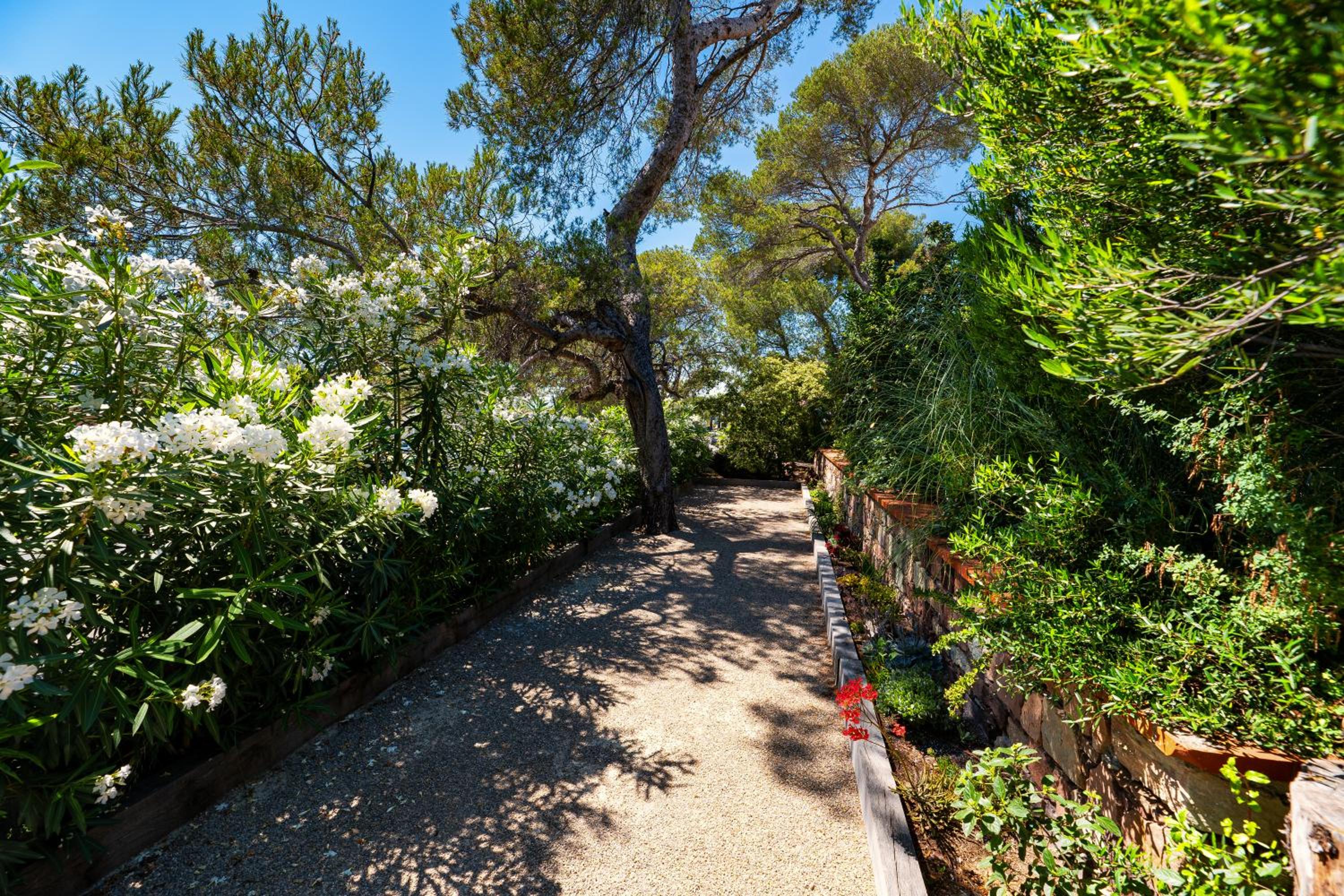 Villa Catleya Appart Hôtel view 4