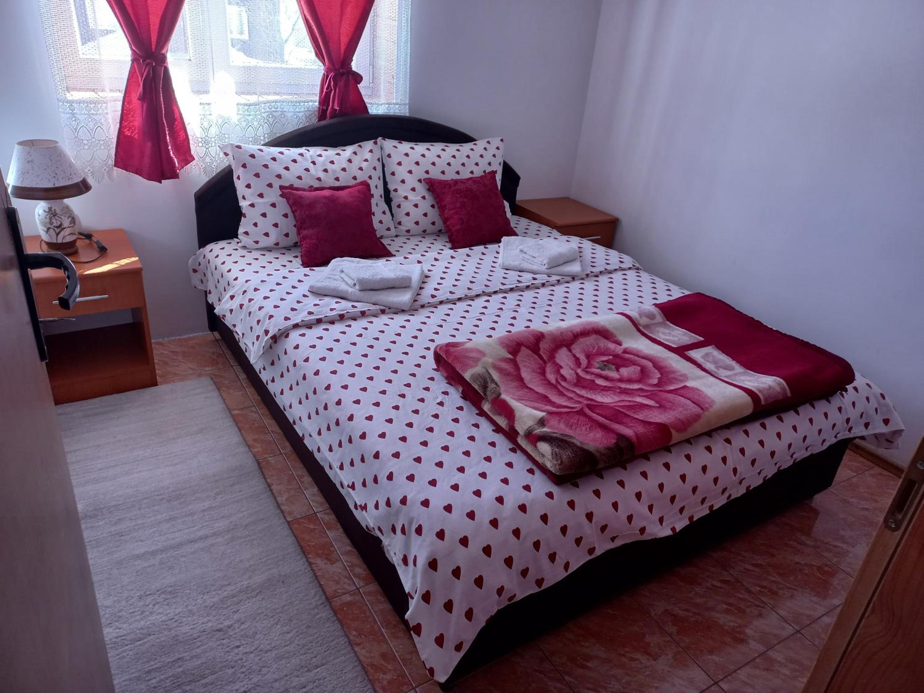 Apartmani Sobe Sljivancanin view 2