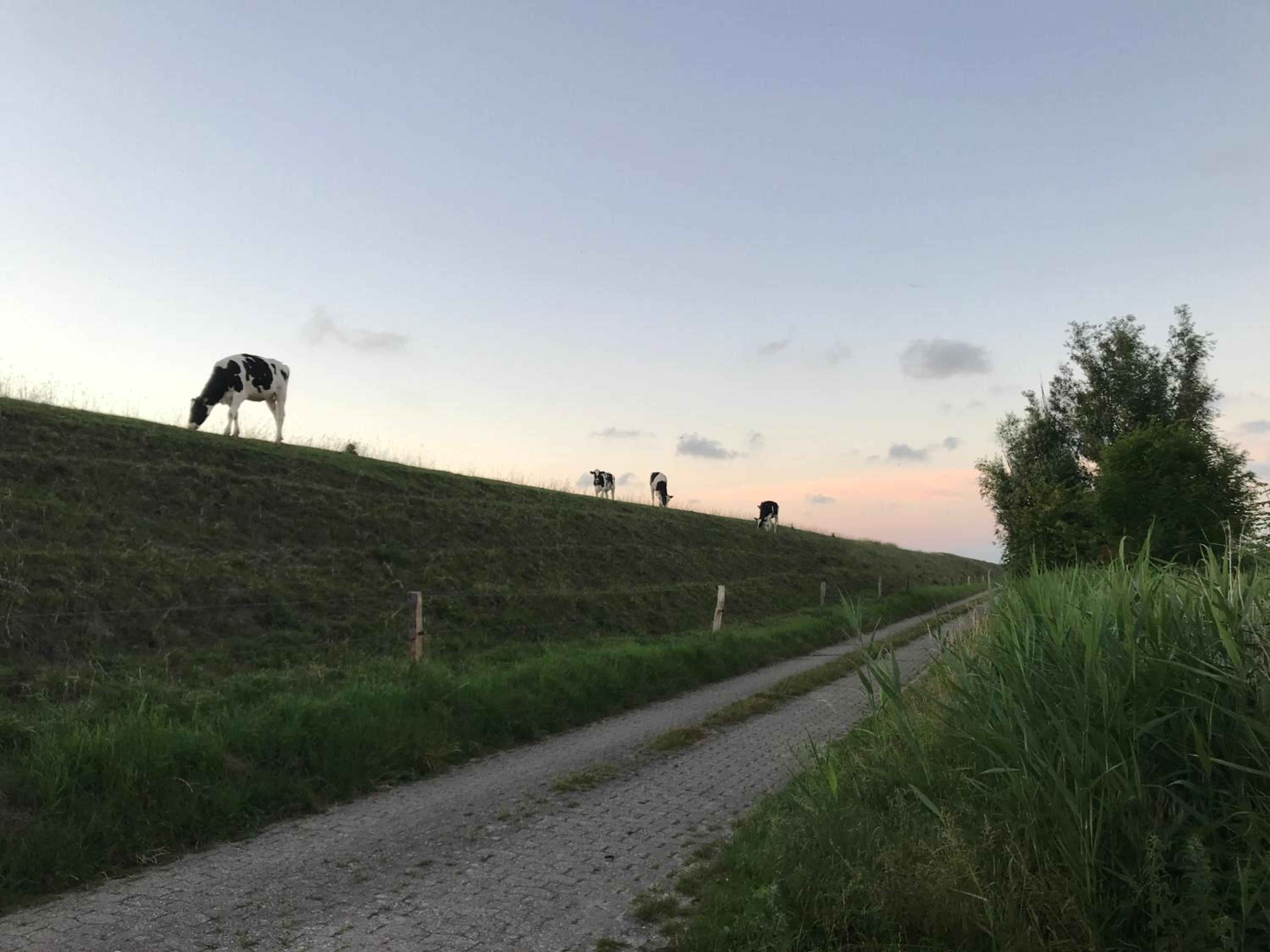 Funnenser Deichhaus en Wangerland — other