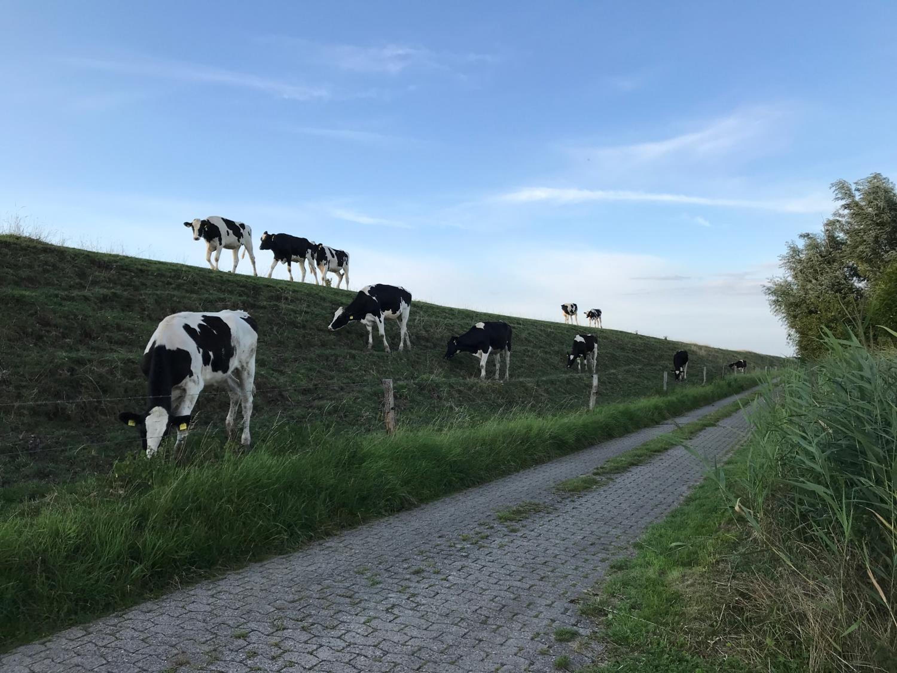Funnenser Deichhaus en Wangerland — other