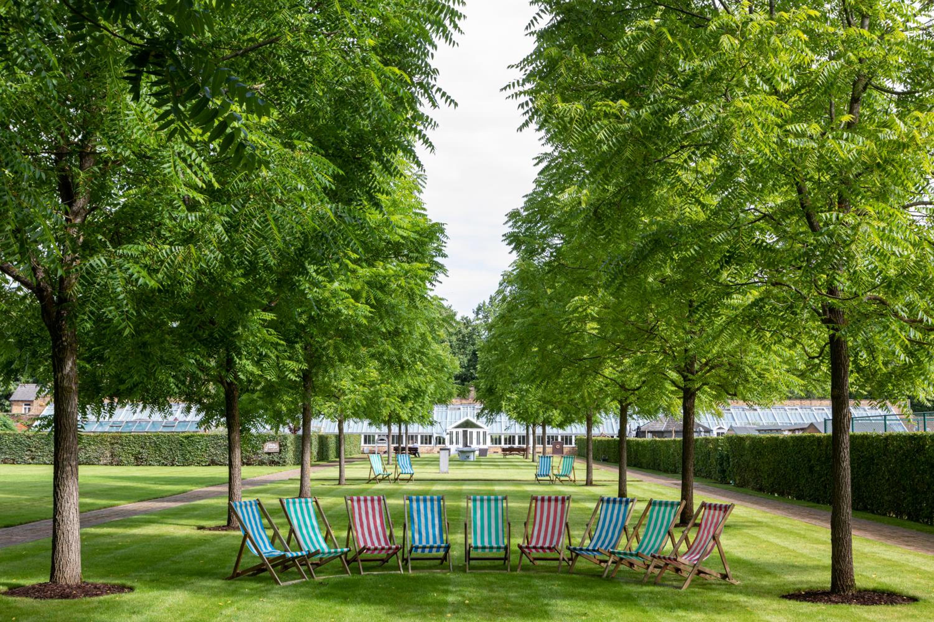 The Grove 51