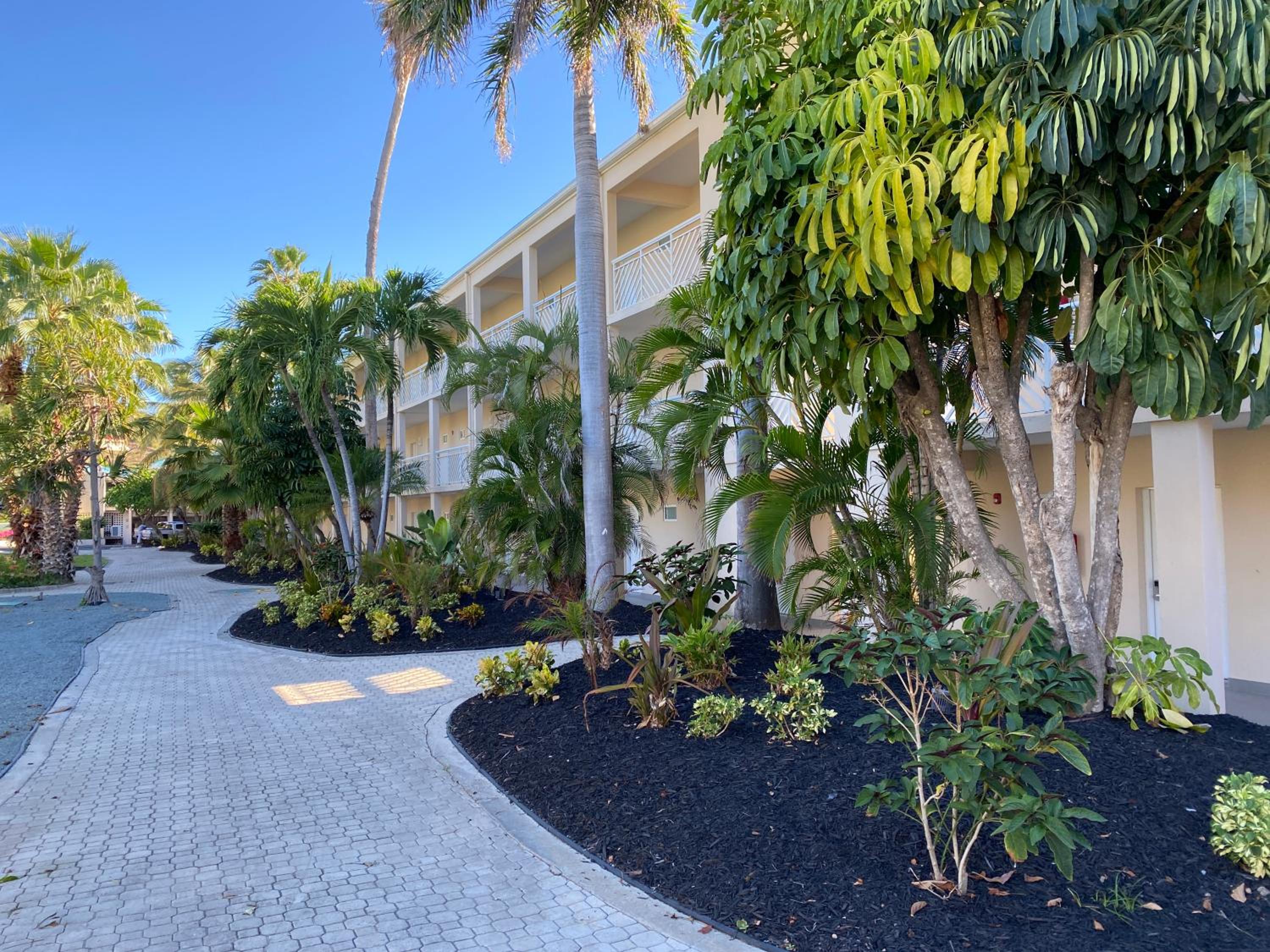 All Inclusive- Divi Carina Bay Beach Resort  Casino Adult Only - Property Image 4