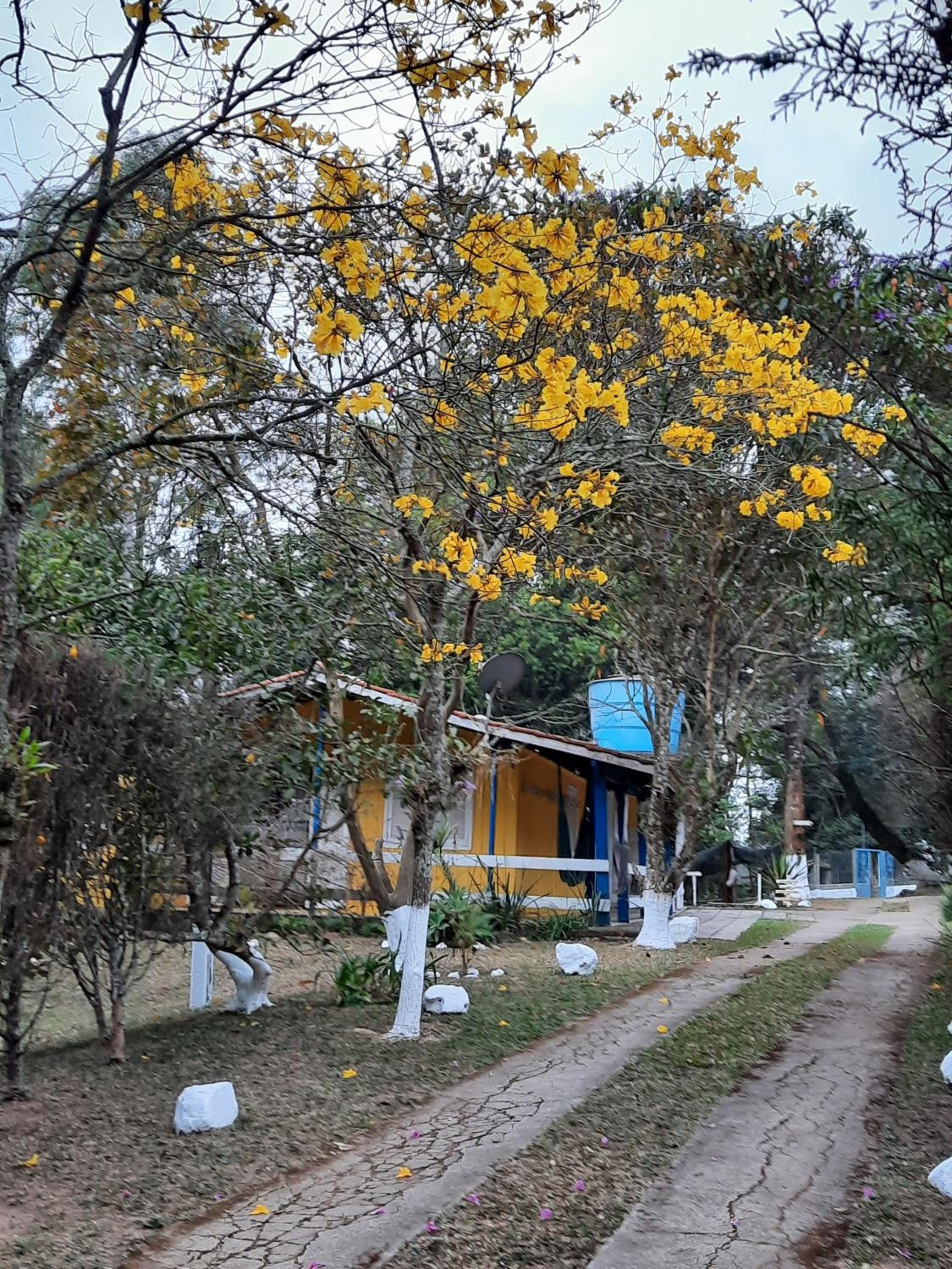 Hospedagem Chalé pousada Chácara Cantinho do Mozão
