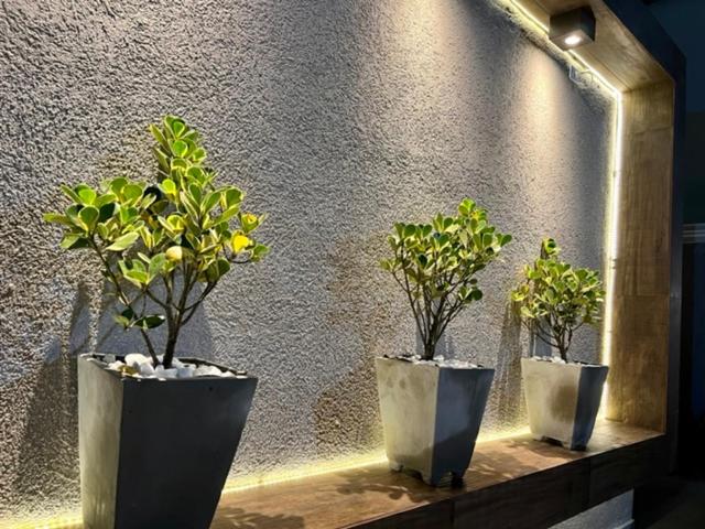 Marmeu Tropical