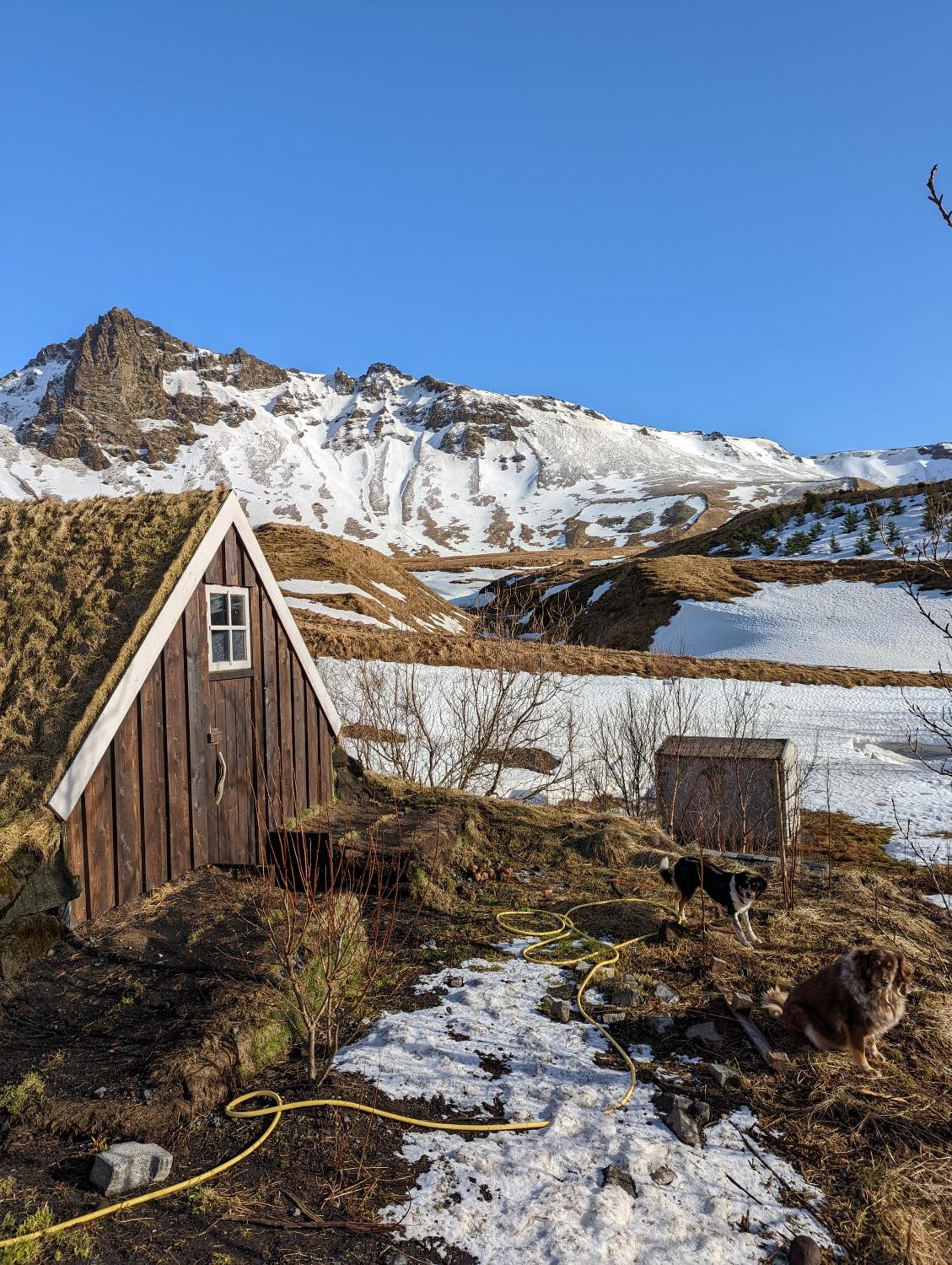 Vík Hostel view 4