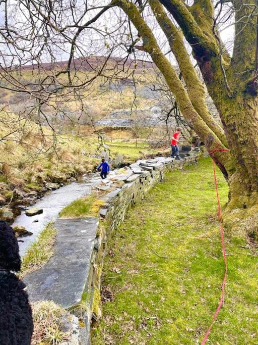 Yr Hen Siop - 4 bed welsh cottage in Snowdonia view 4