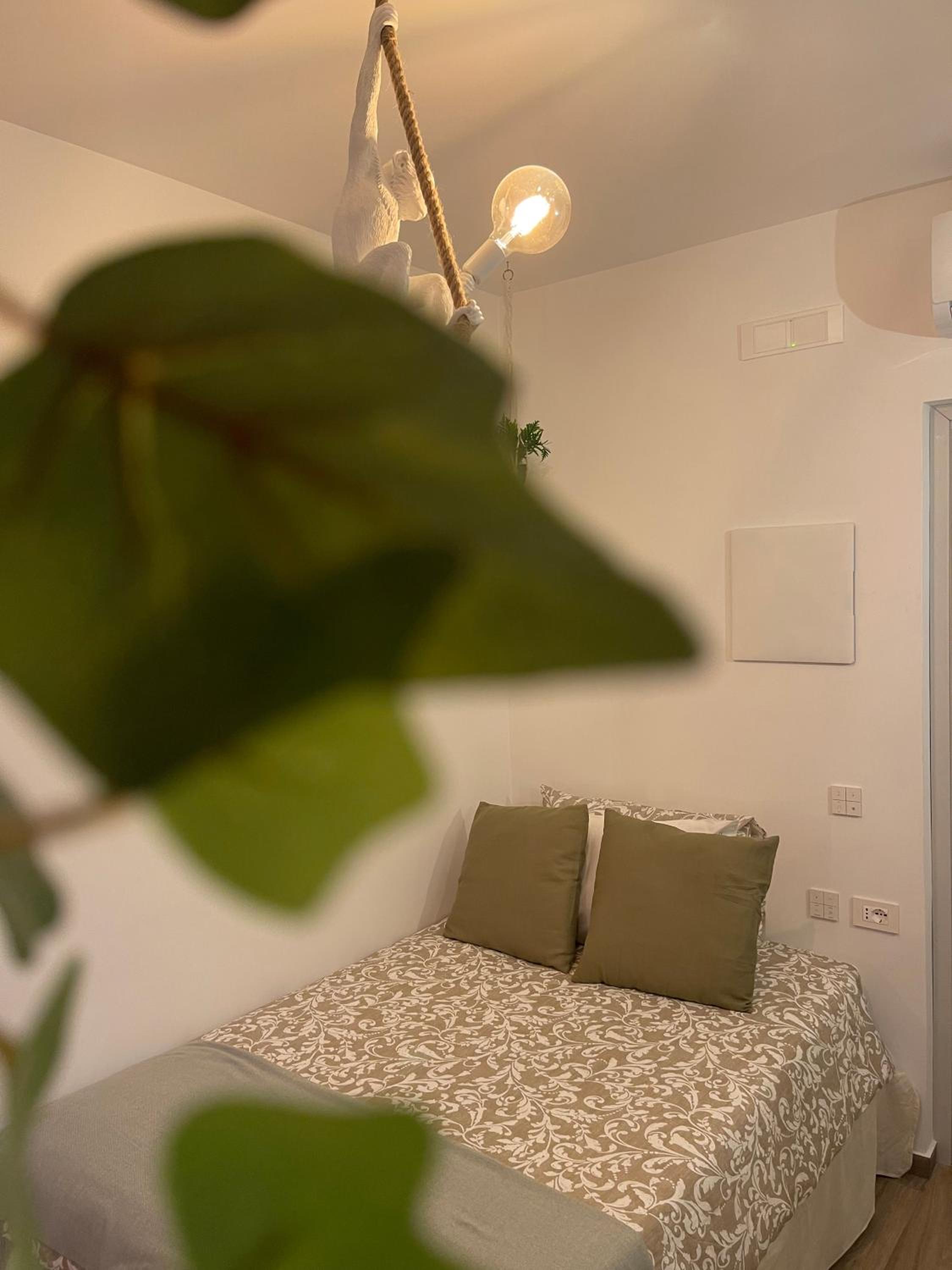 Urban jungle rooms