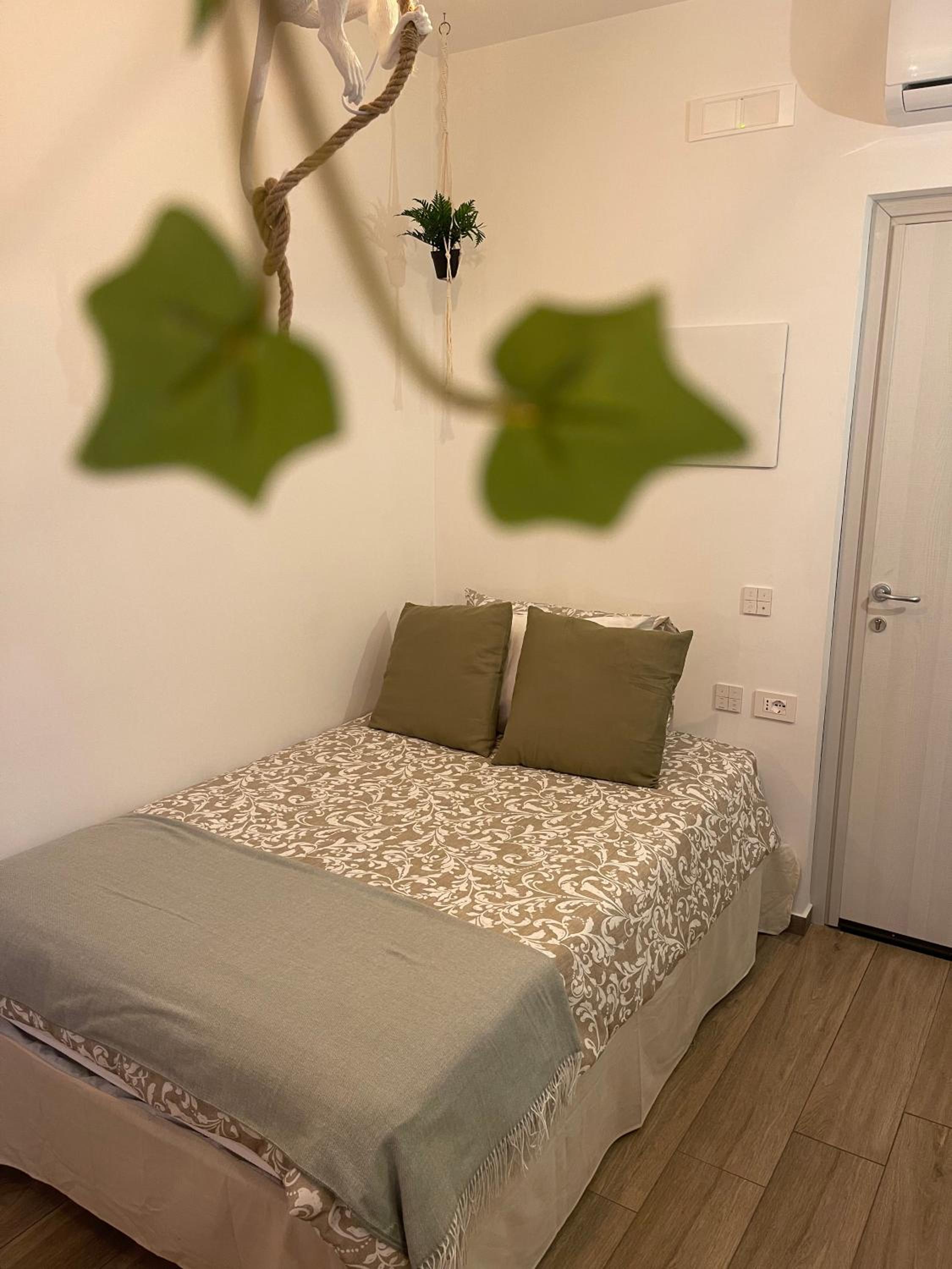 Urban jungle rooms