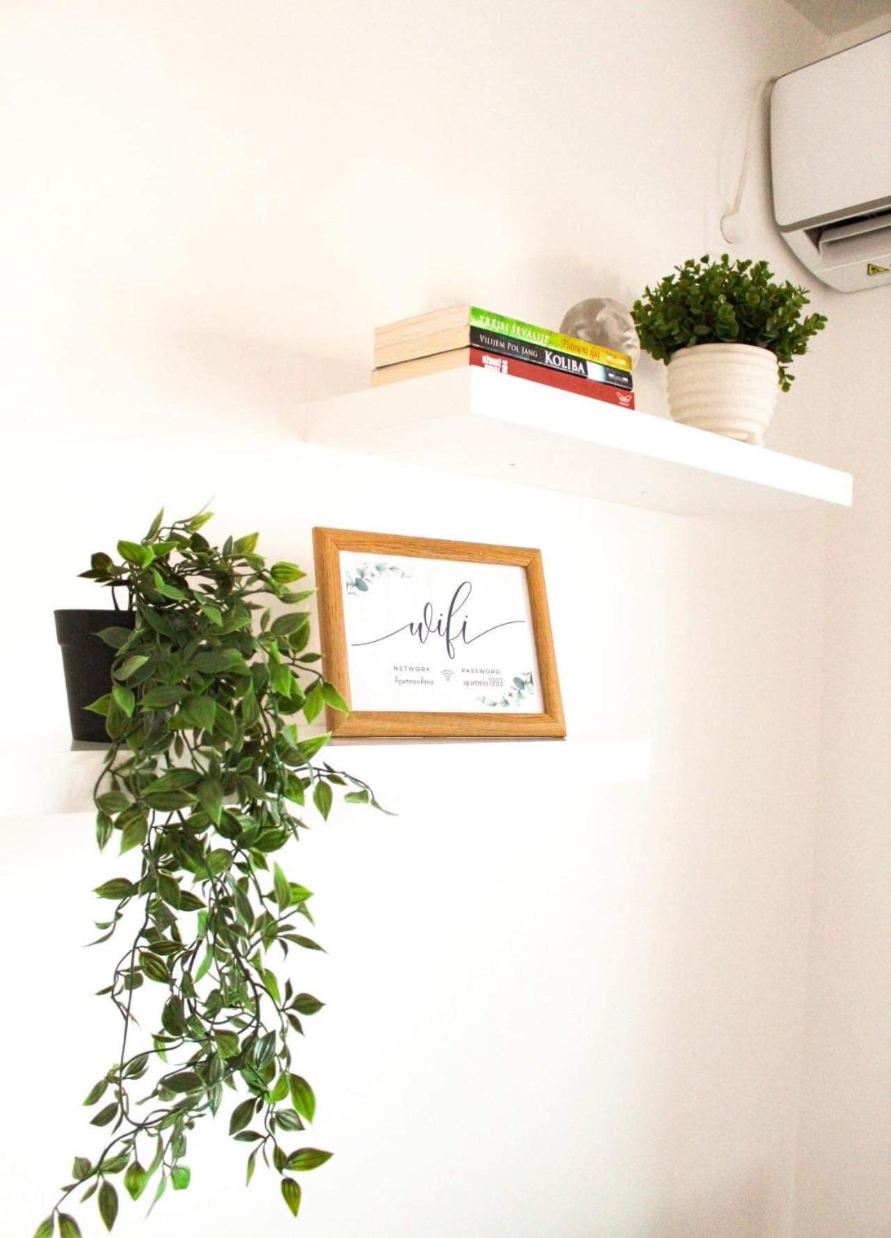 Apartment Atria II