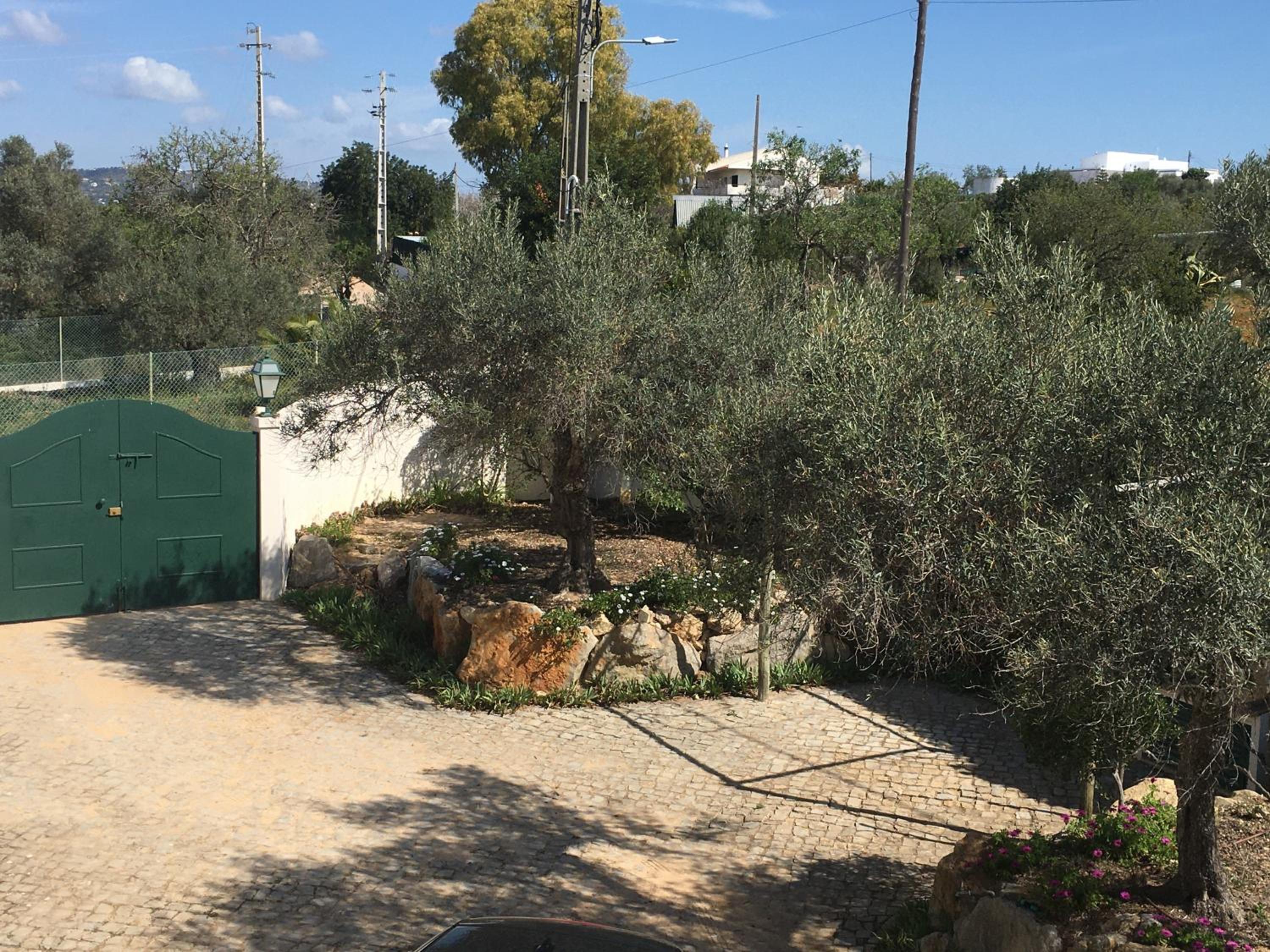 Photo 46