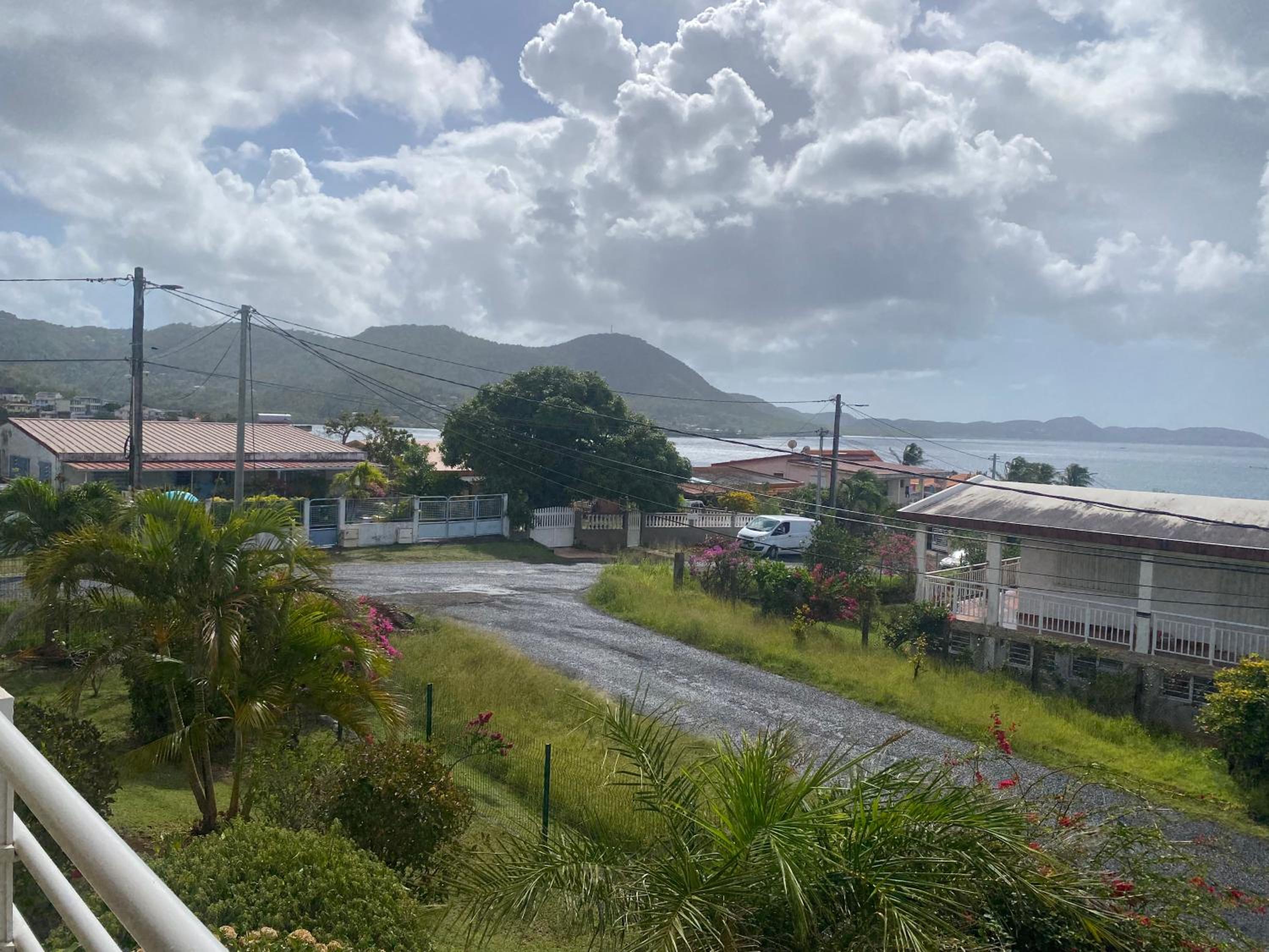 LES HIBISCUS view 5