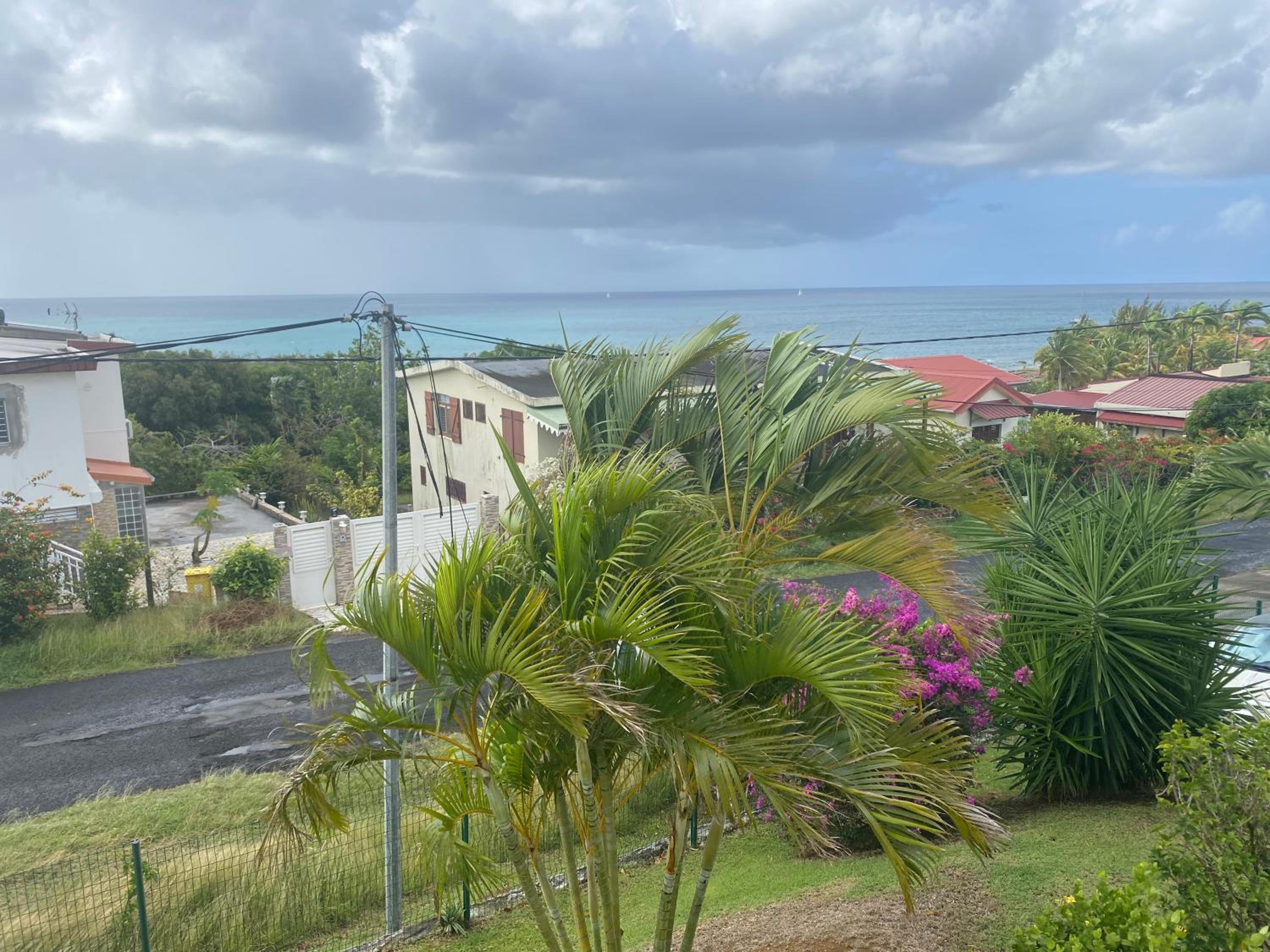 LES HIBISCUS view 4