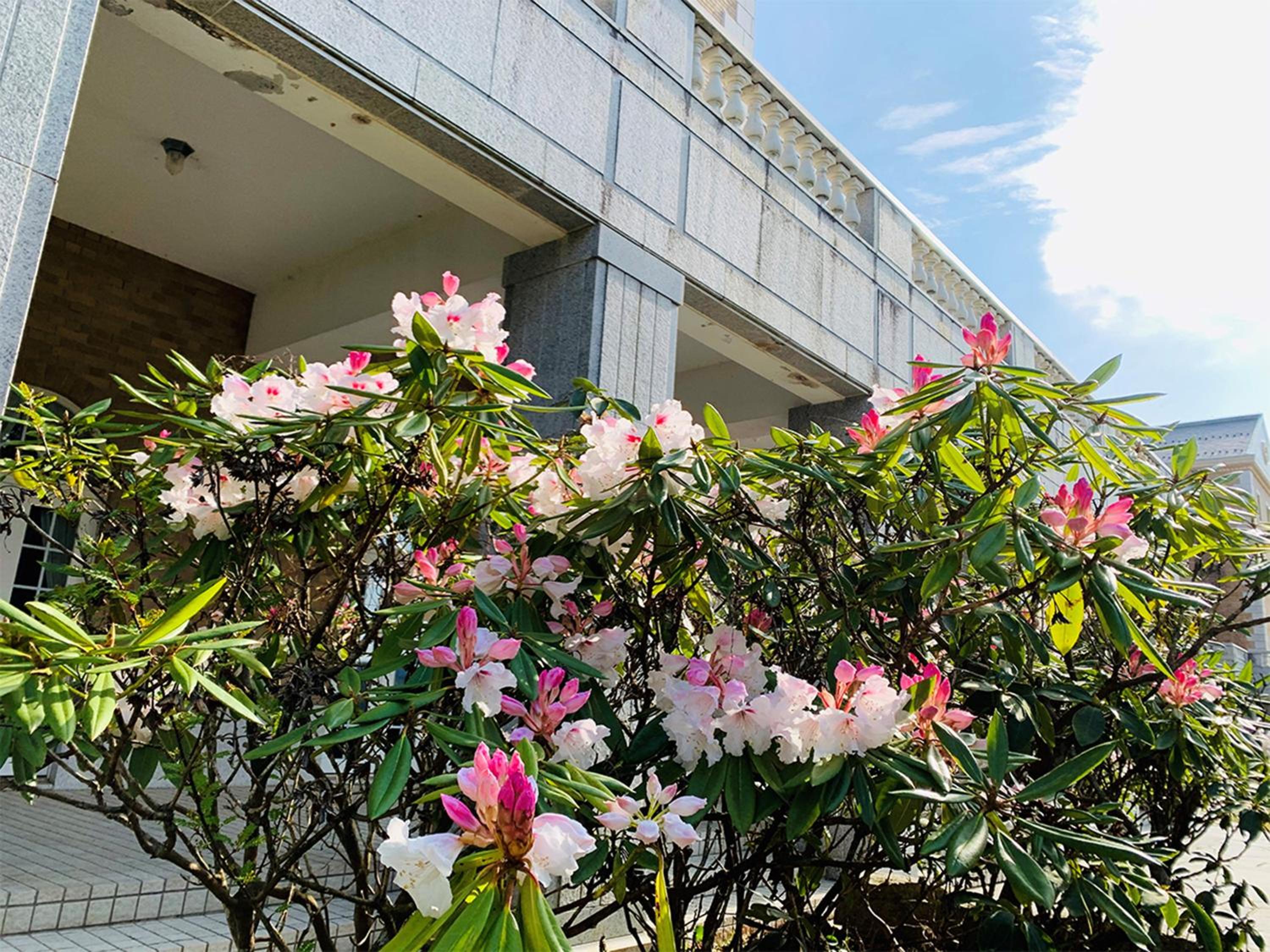 Yugashima Golf Club & Hotel Resort