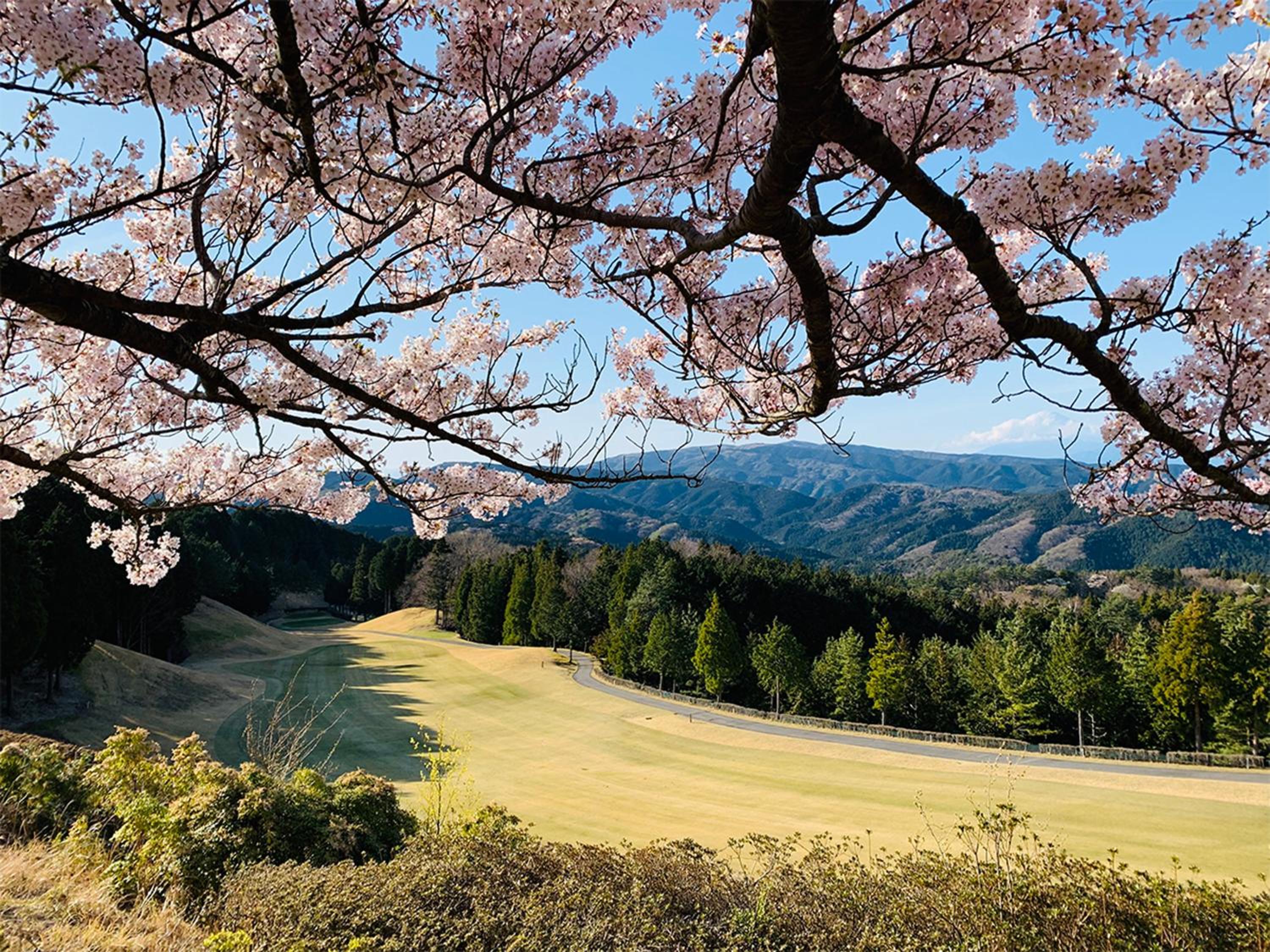 Yugashima Golf Club & Hotel Resort
