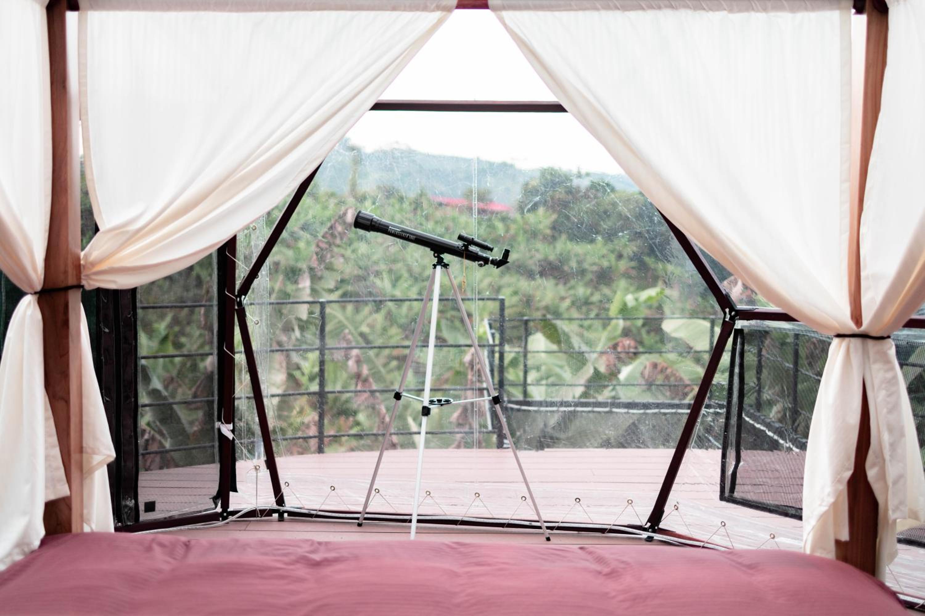 Chamí Glamping