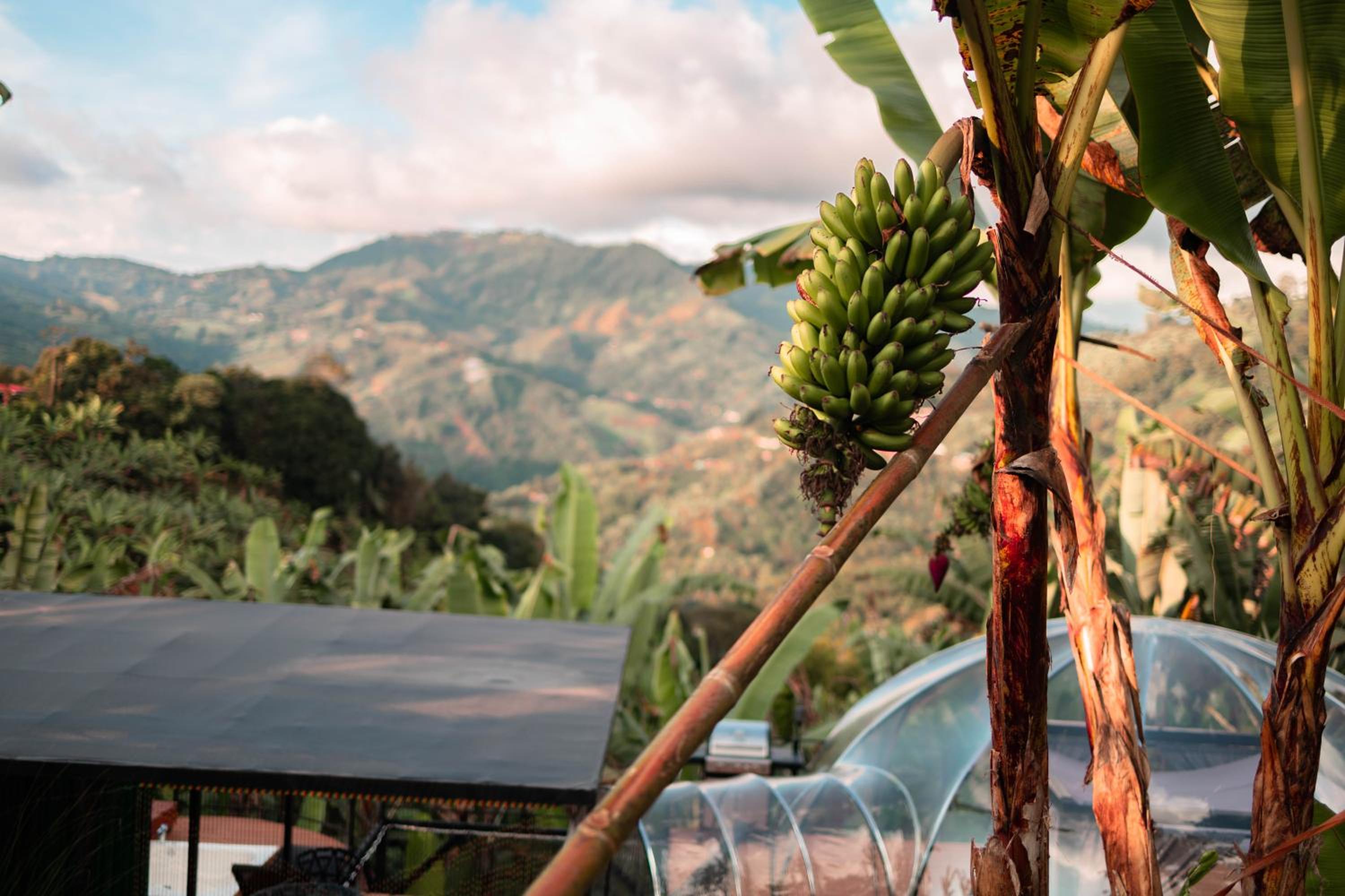 Chamí Glamping