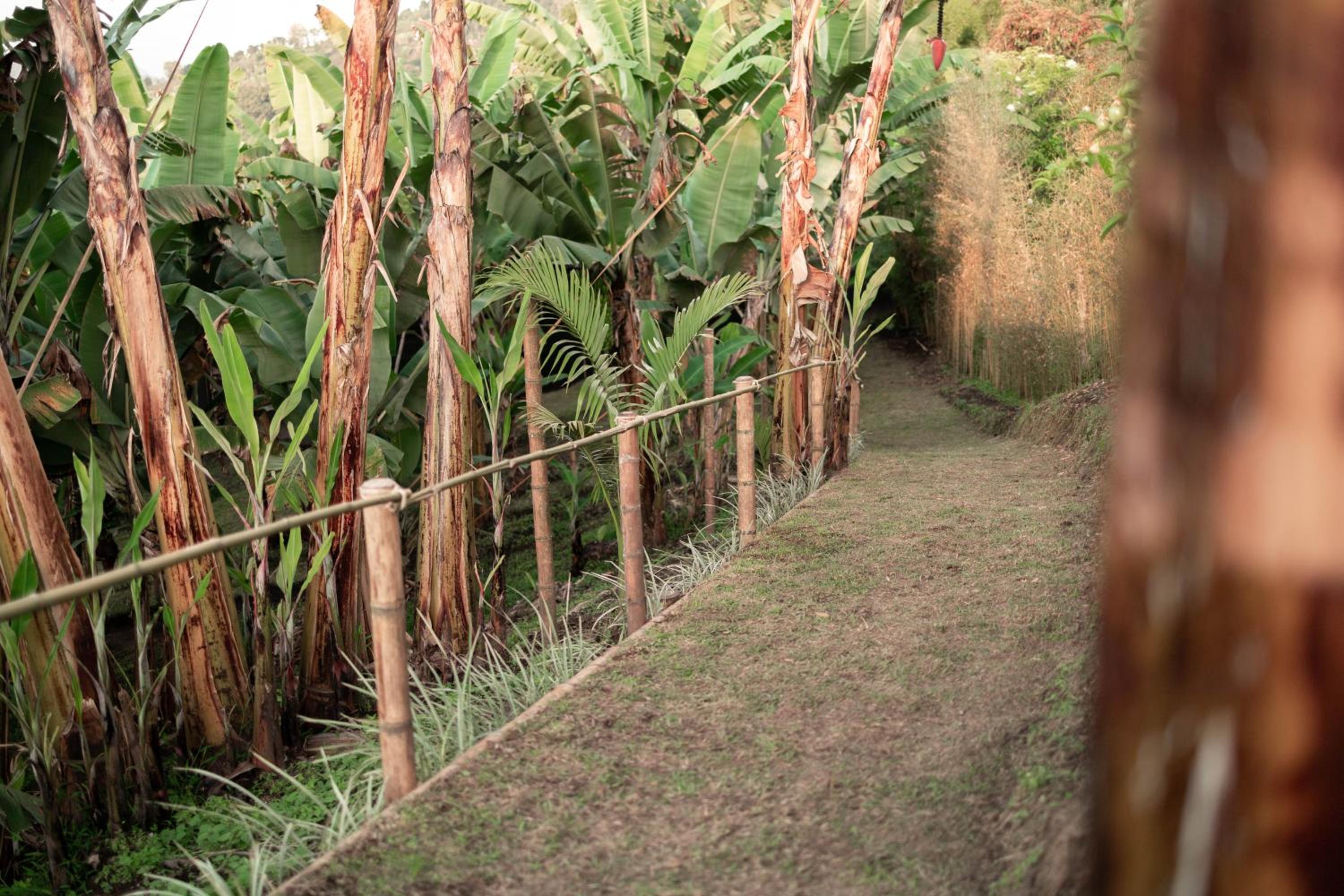 Chamí Glamping