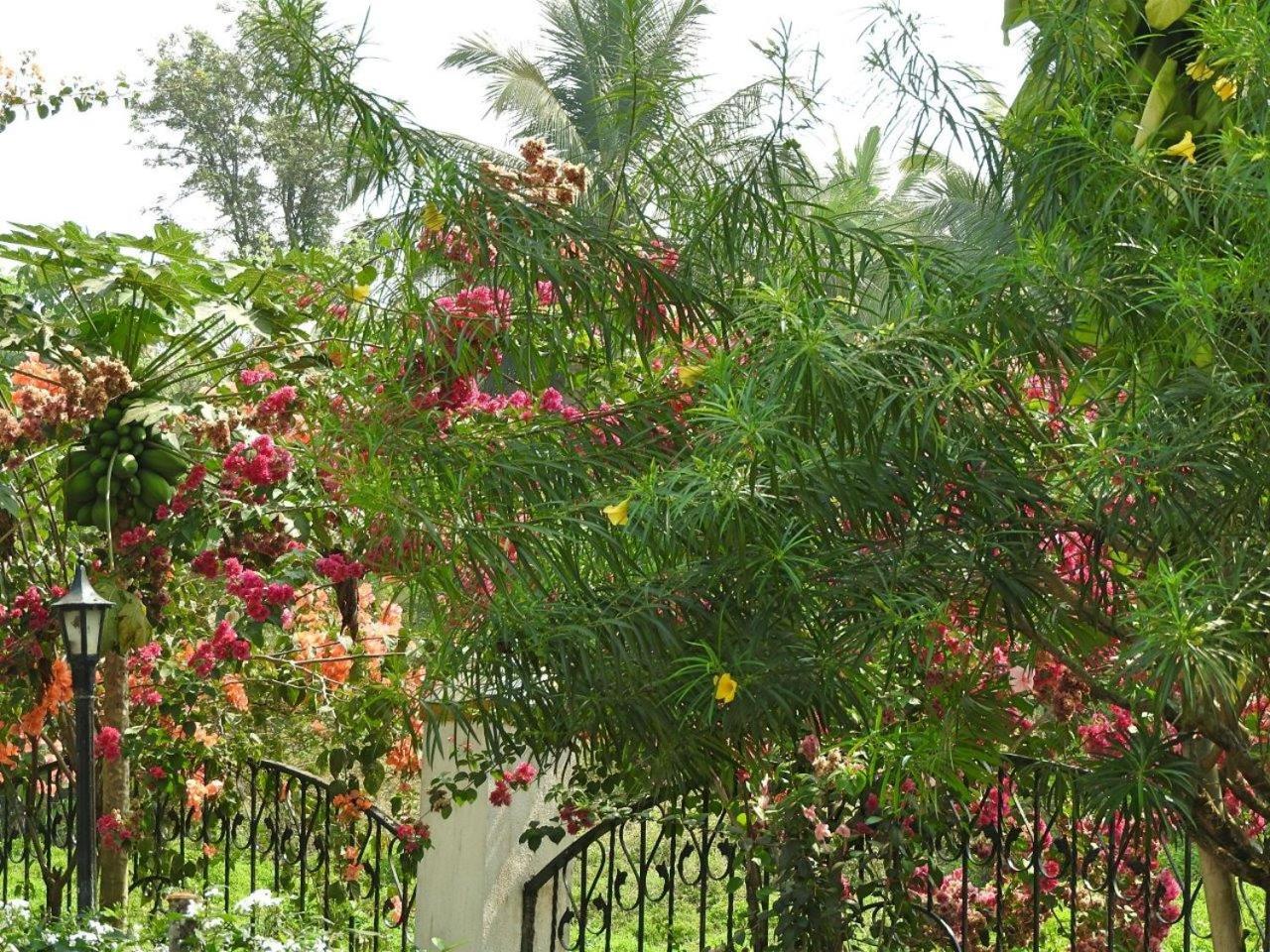 Boutique Villa, beach 10min, cook on request view 5