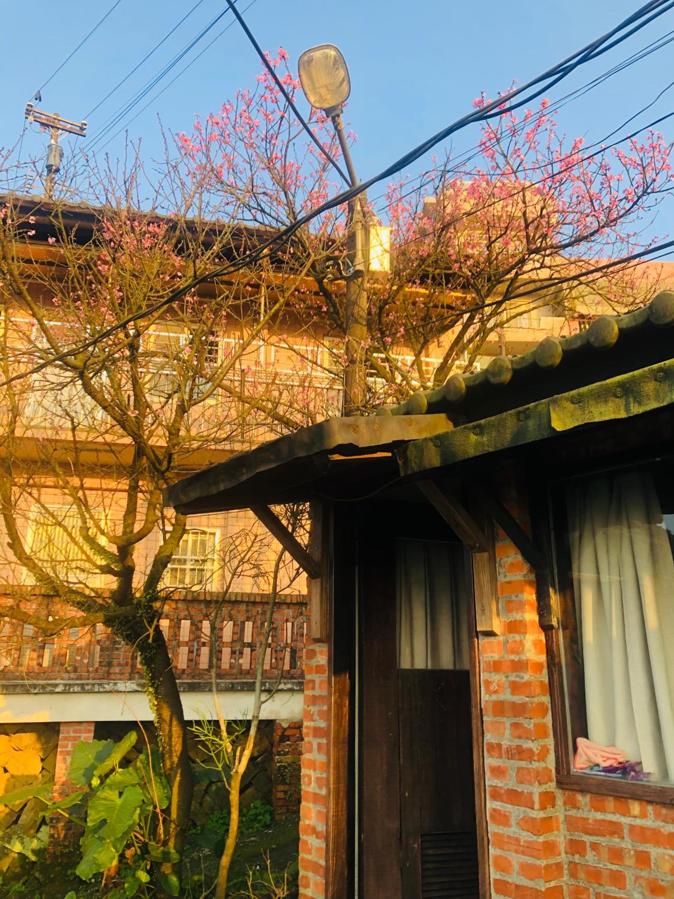 Jiuju view 5