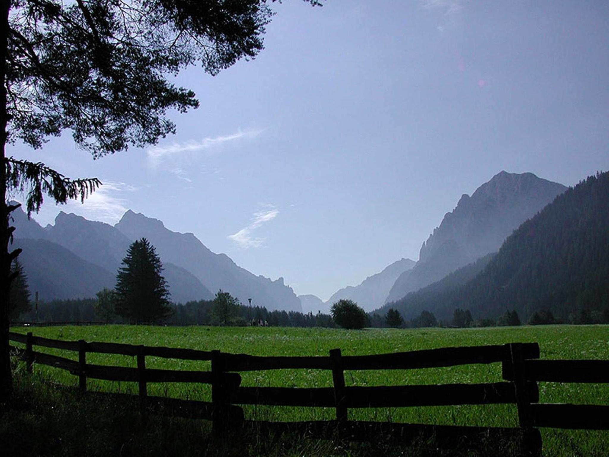 Photo 46