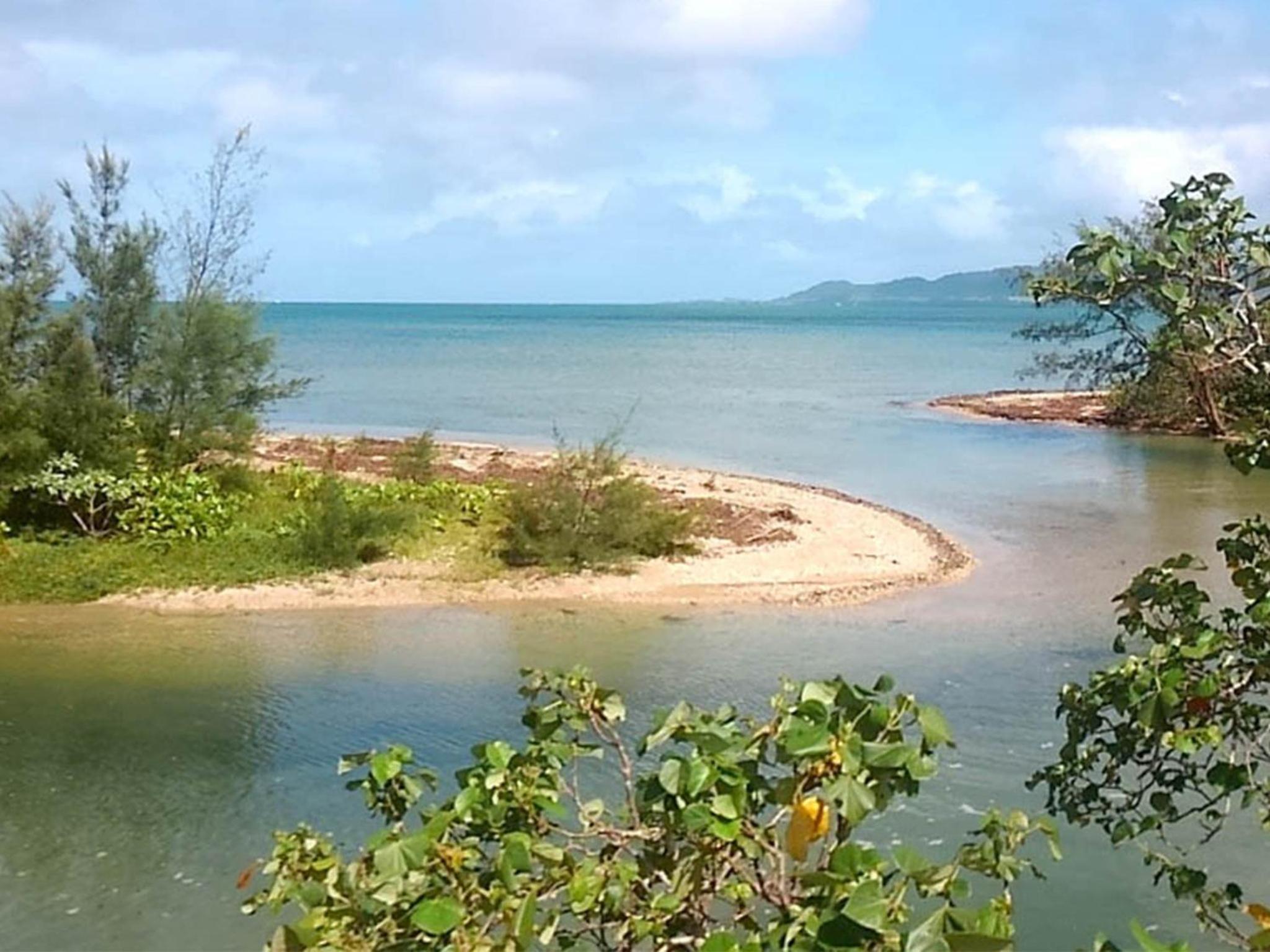 Ishigaki - House / Vacation STAY 35337