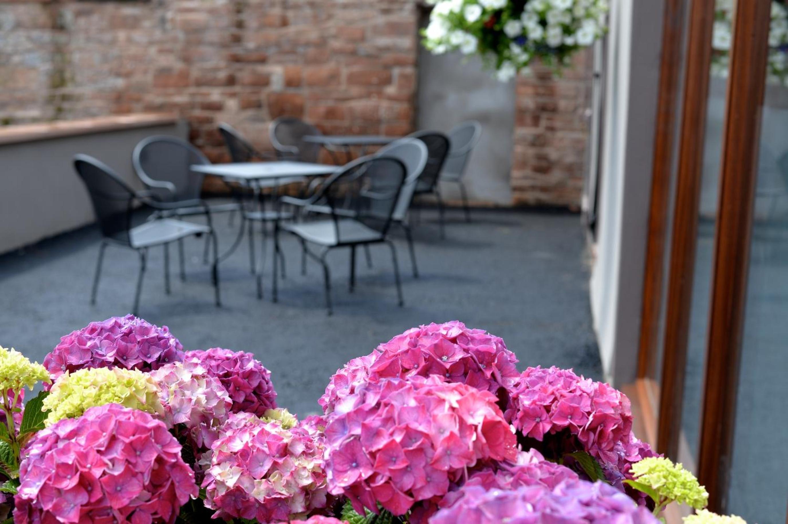 Scotch Arms Mews Bed & Breakfast, Brampton Town Centre, Hadrians Wall