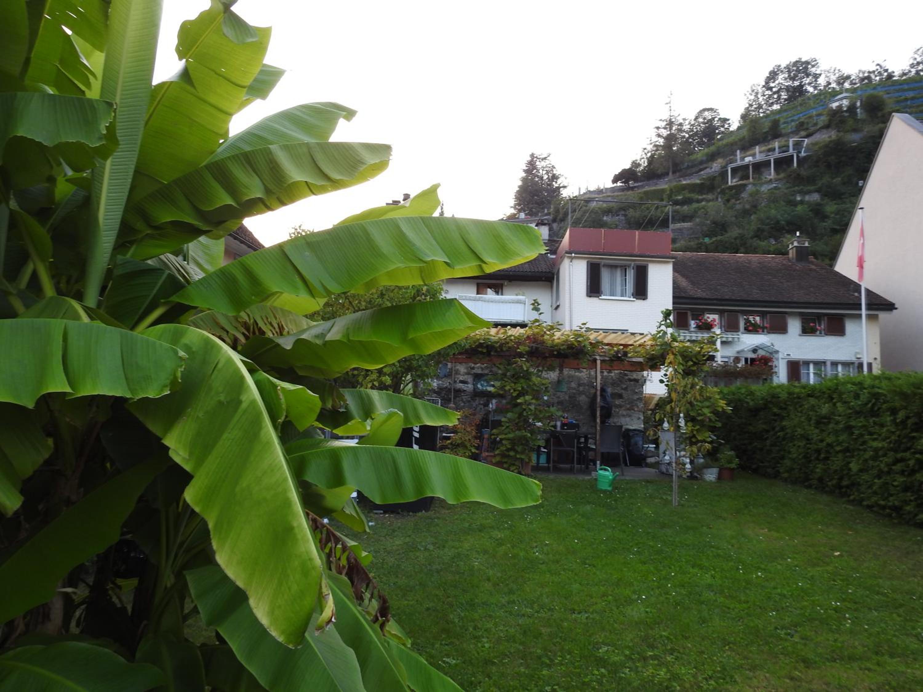"VILLA HI" Wohnung Parkplatz inbegriffen view 2