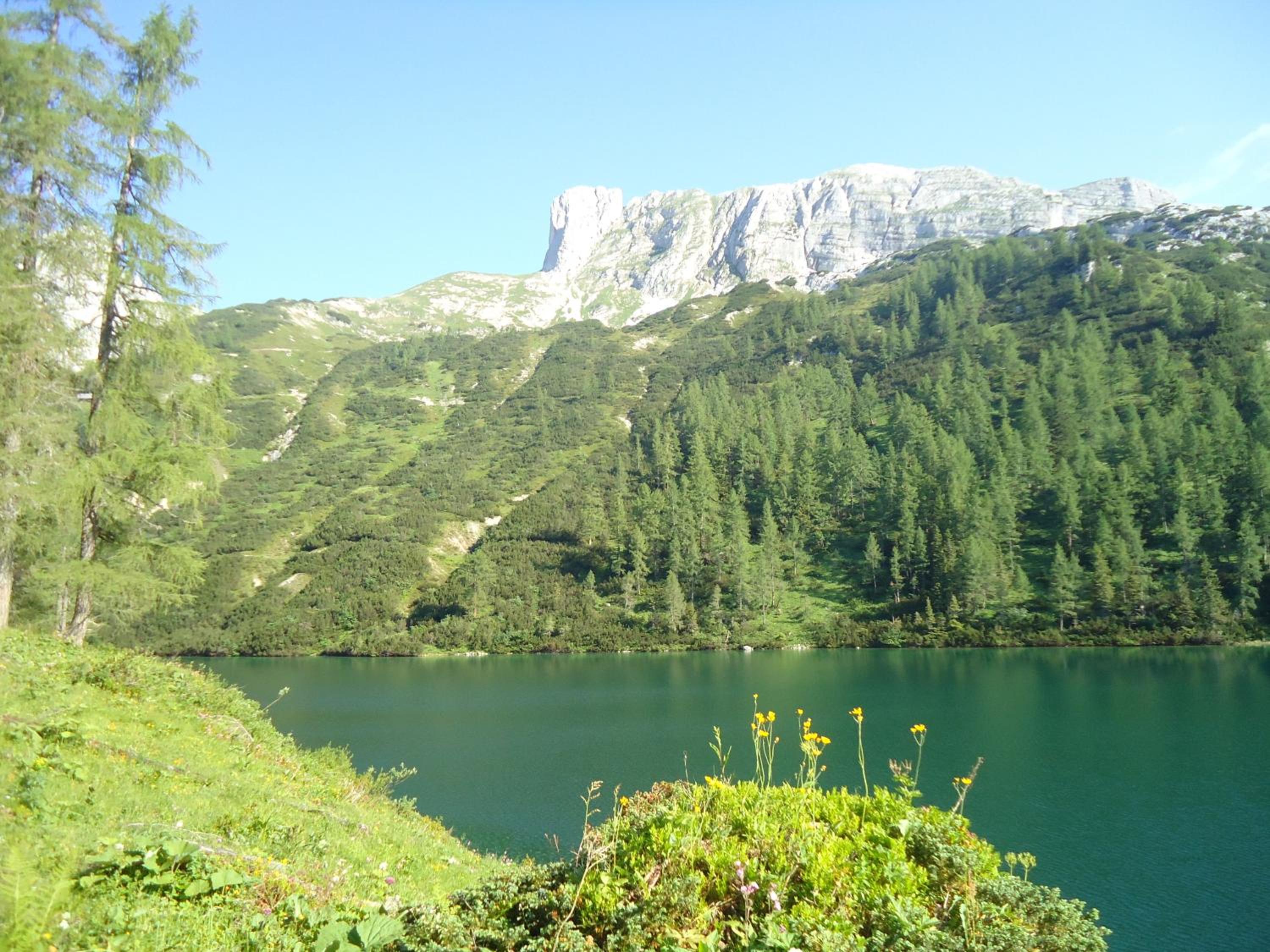 Photo 27