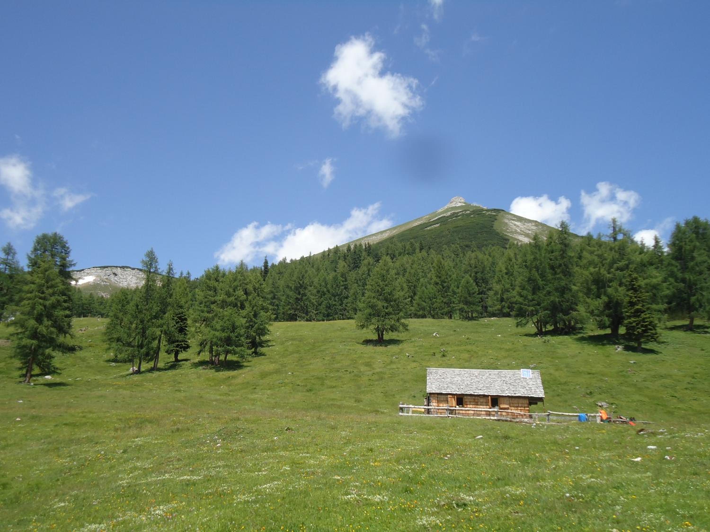 Photo 23