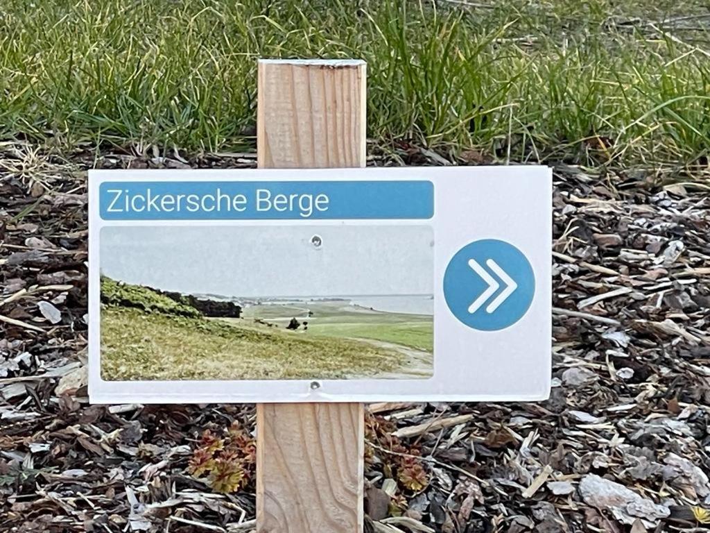 Naturidyll Mariendorf - Ferienwohnung Zickersche Berge view 4