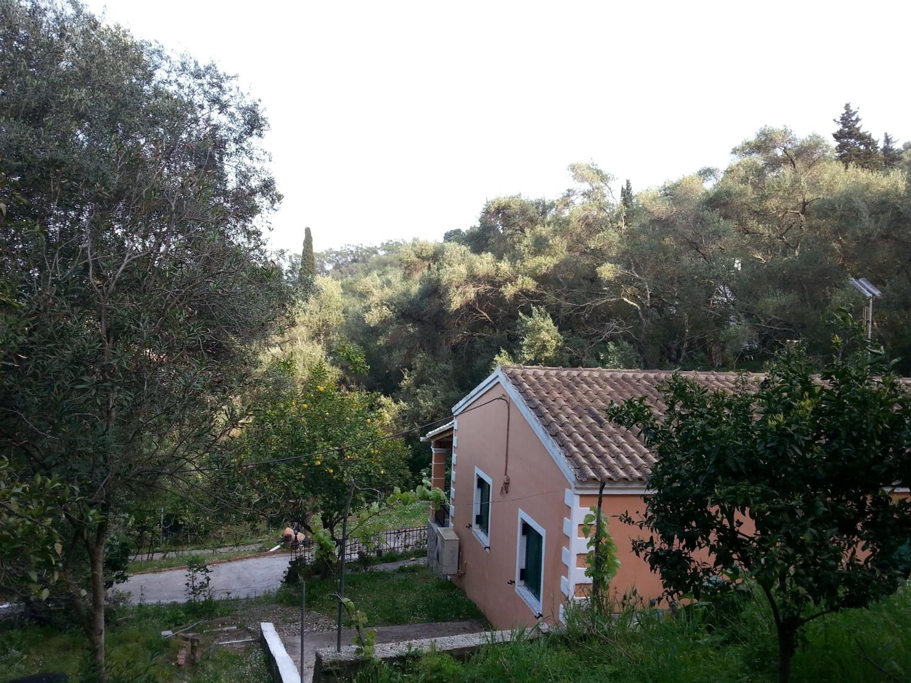 Photo 21