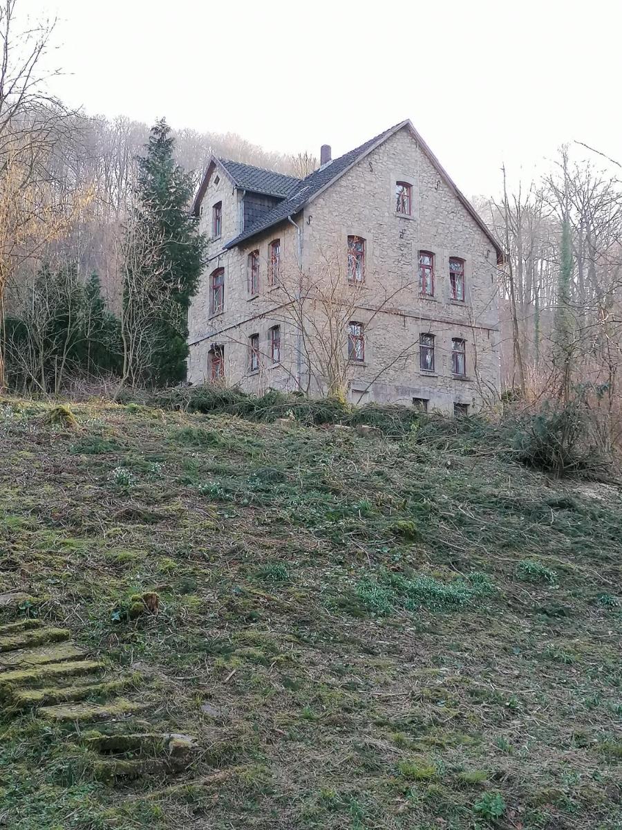 Photo 19