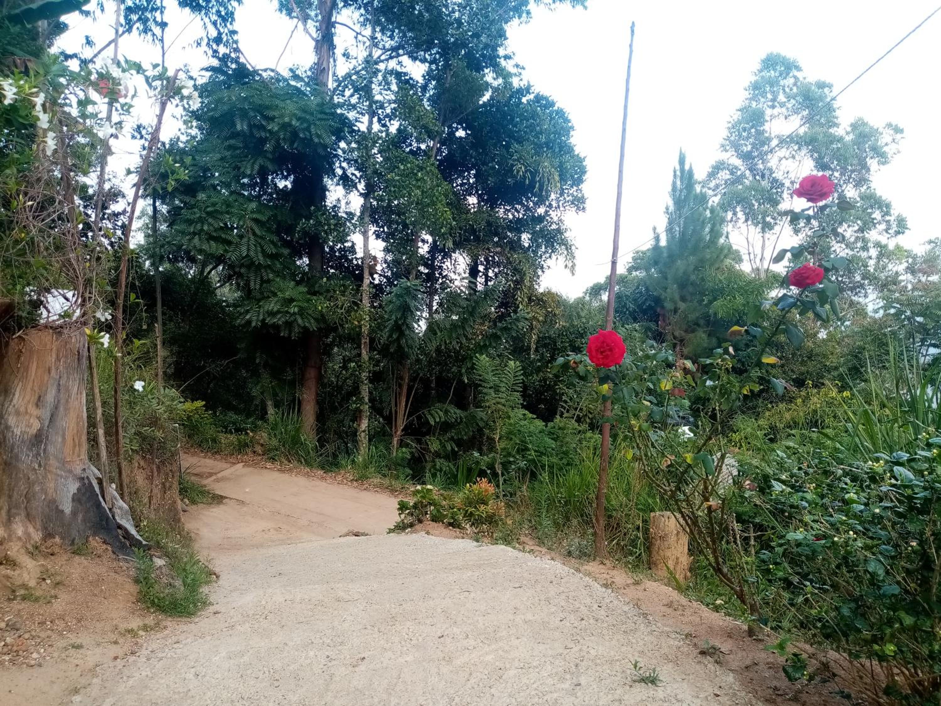 Apurvi Homestay view 5